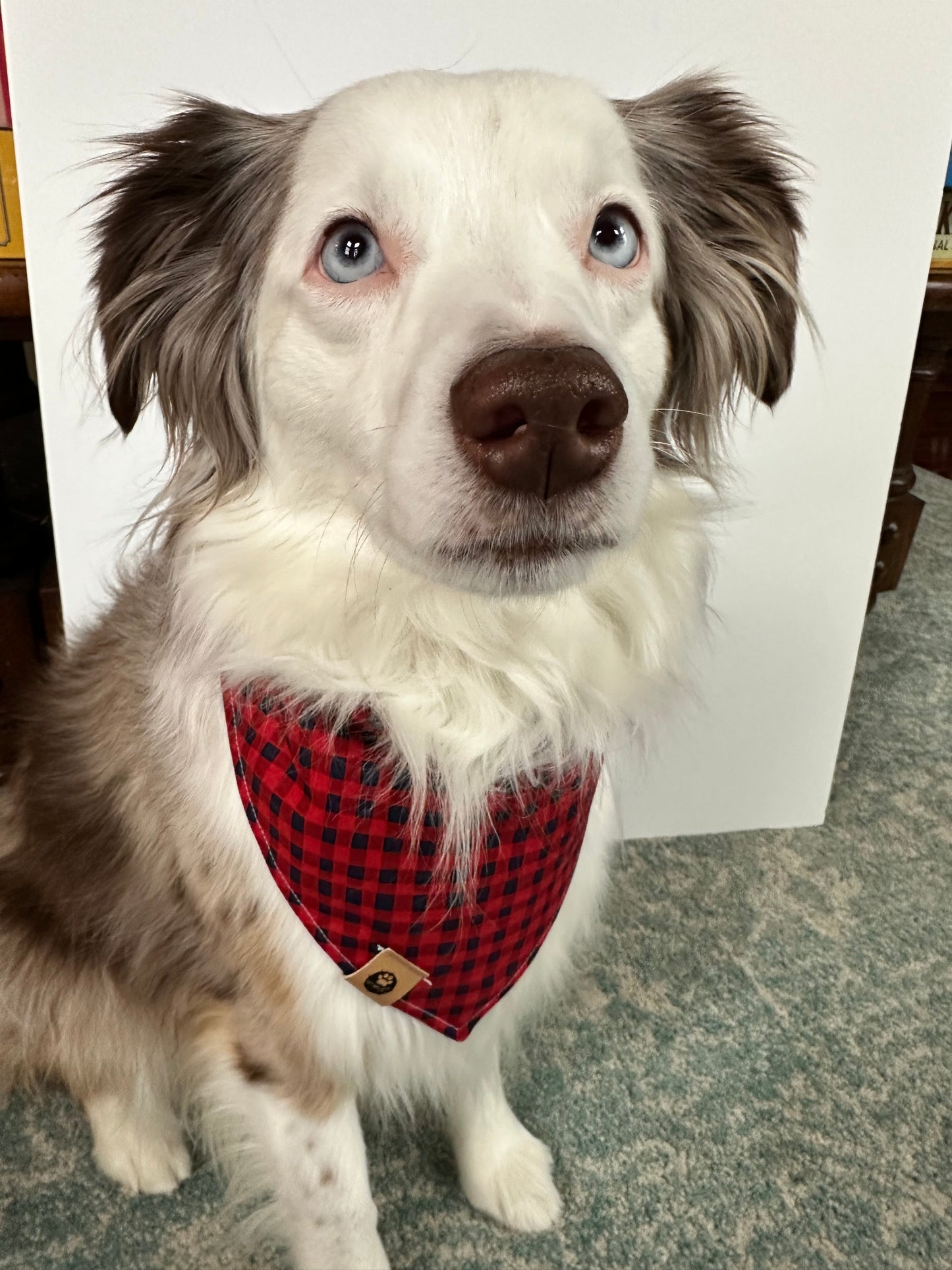S’mores Reversible Bandana