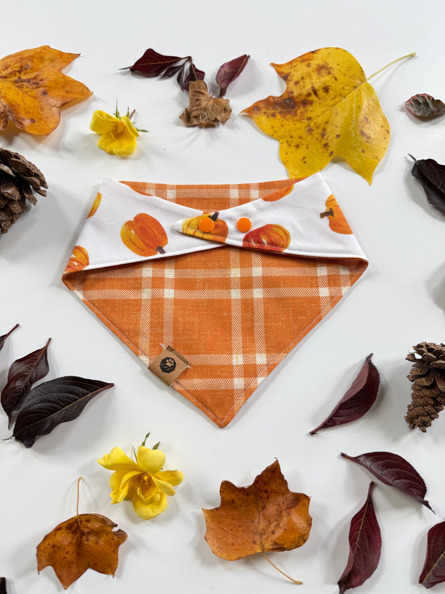 Cutest Pumpkin Reversible Custom Bandana