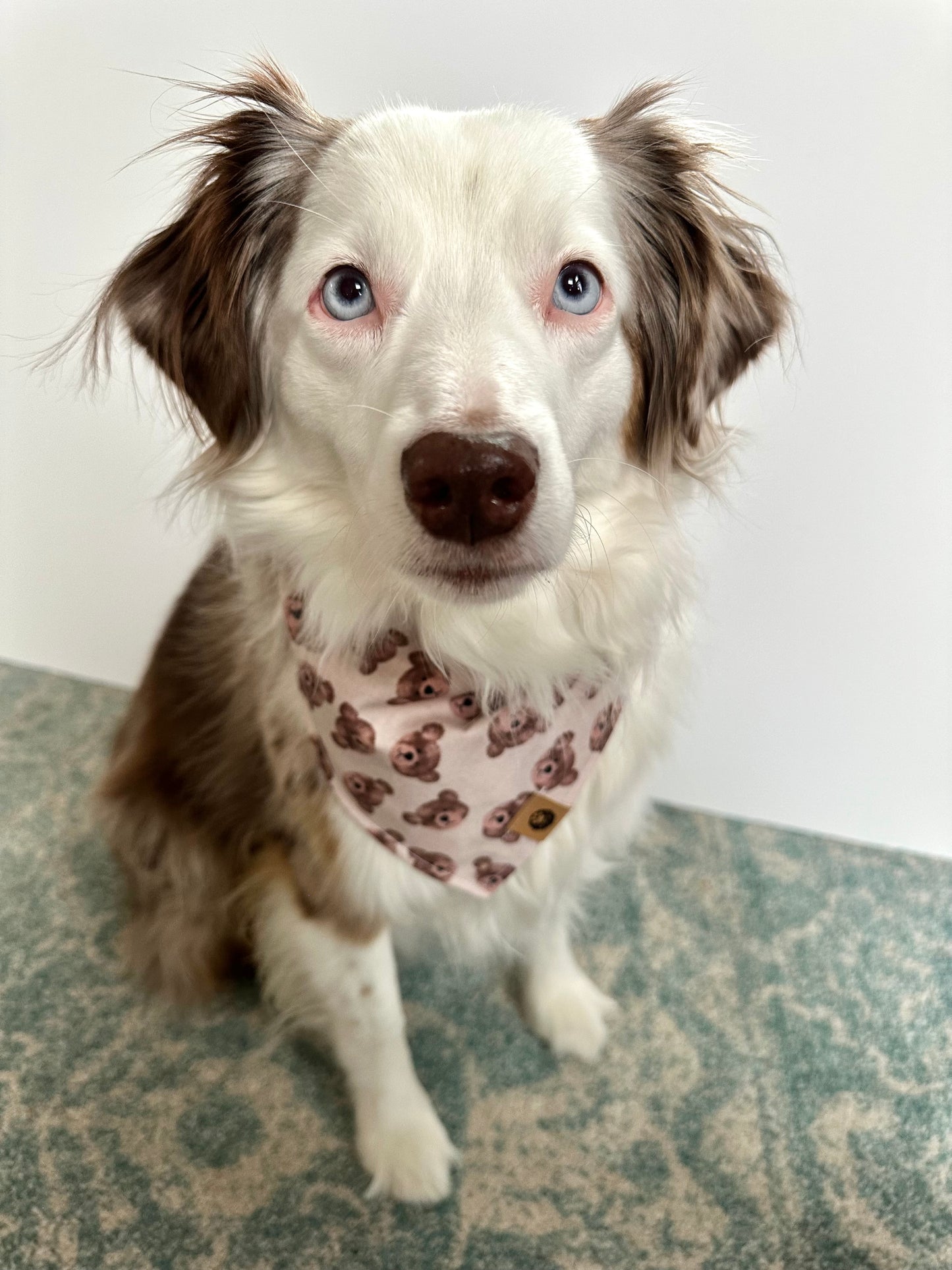 Beary Lovely Bandana