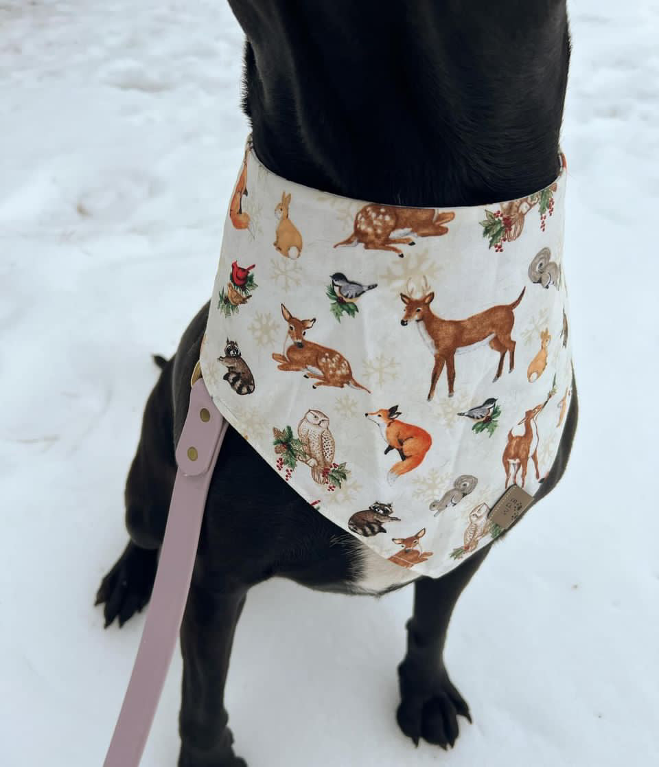 Aurora’s Walk in Nature Reversible Bandana