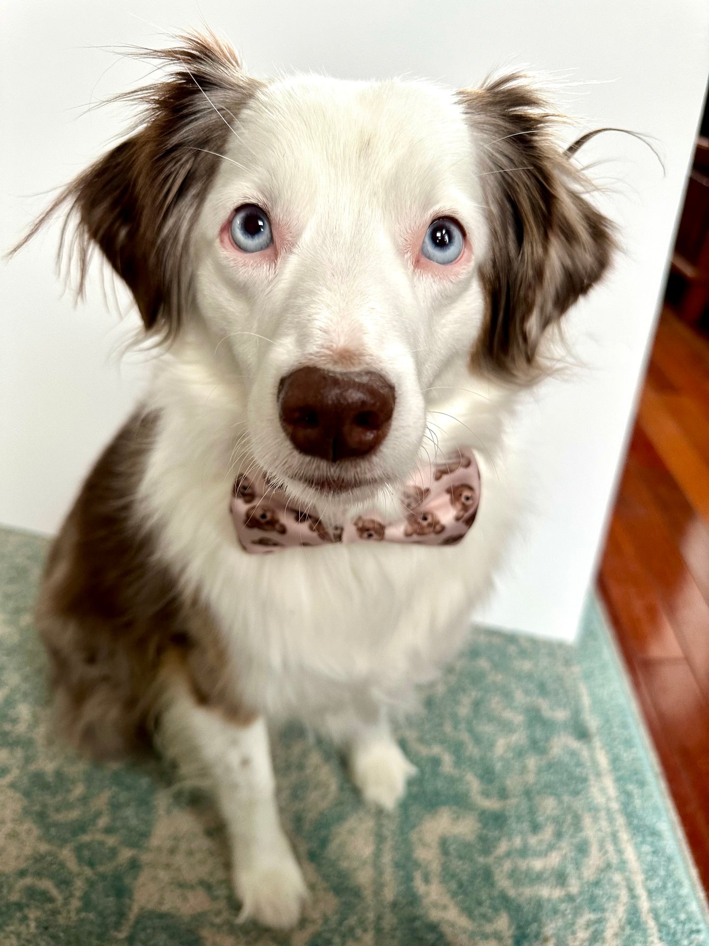 Beary Lovely Bow Tie