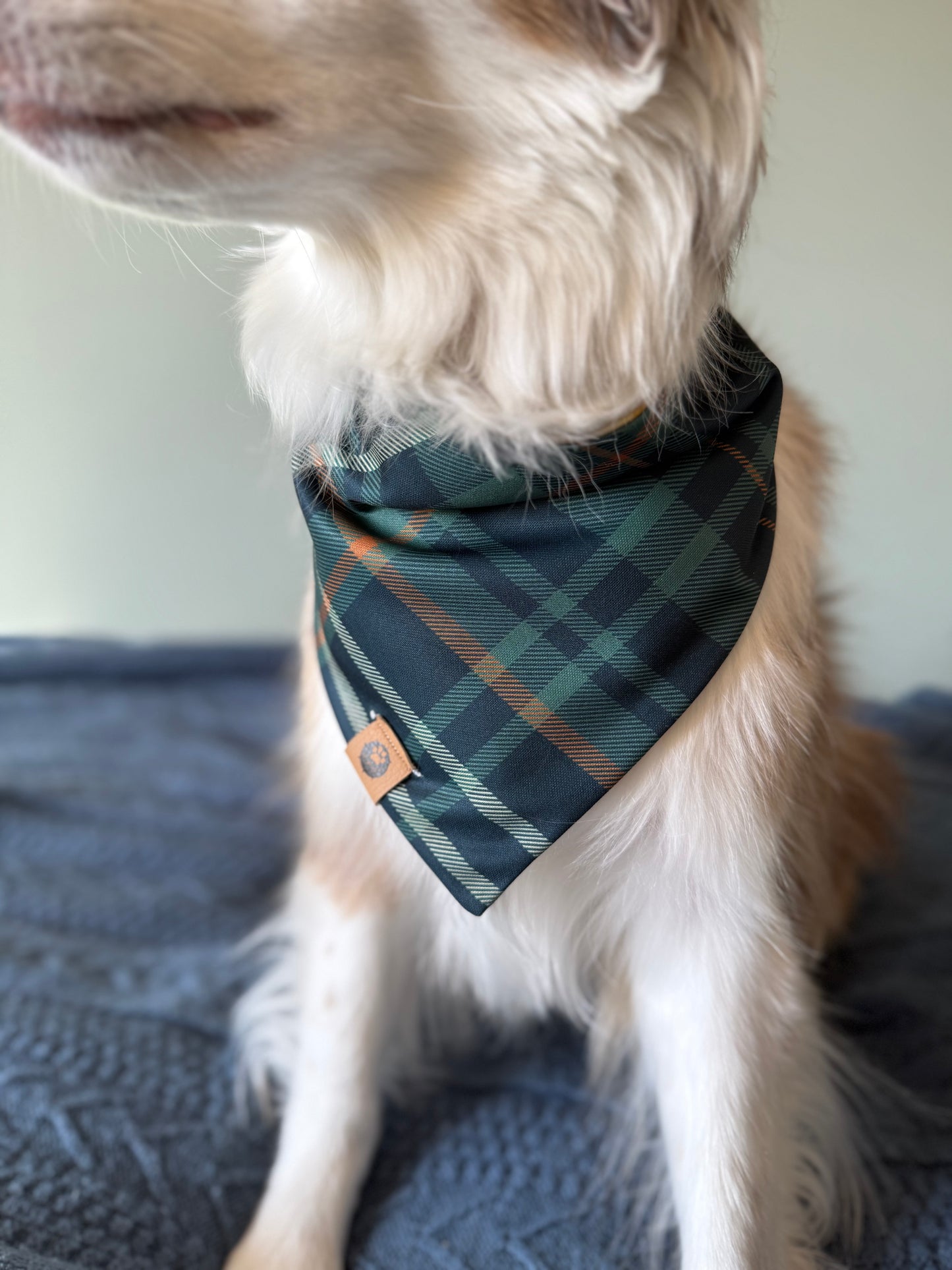 Fall Peaks Reversible Adventure Proof Bandana