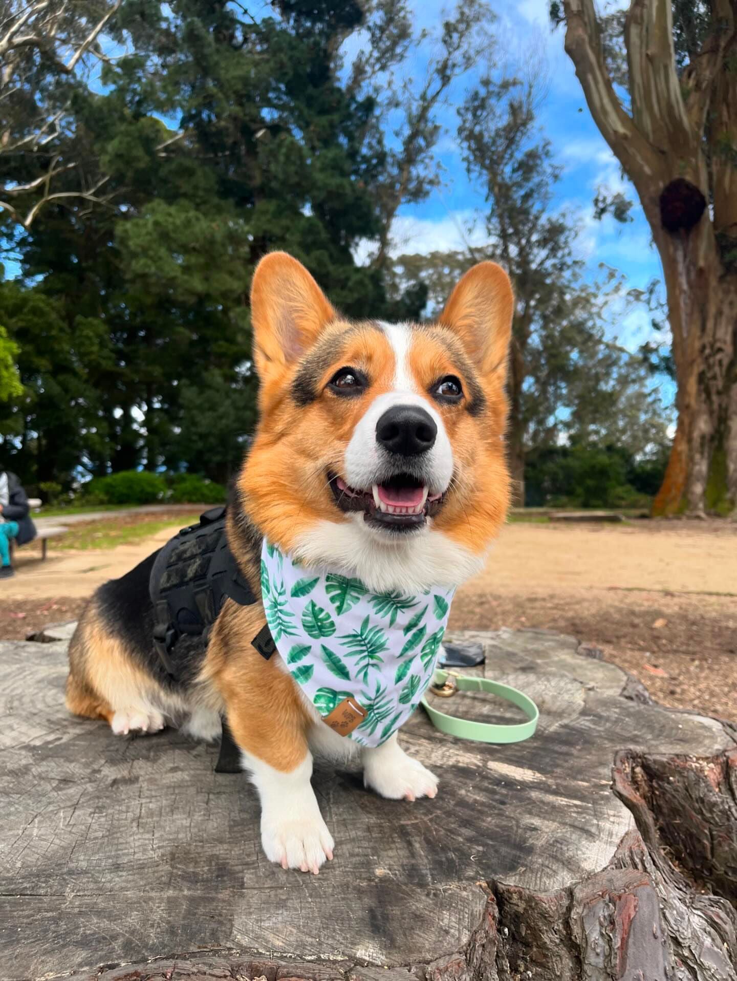 Feeling Dino-Rific Reversible Bandana