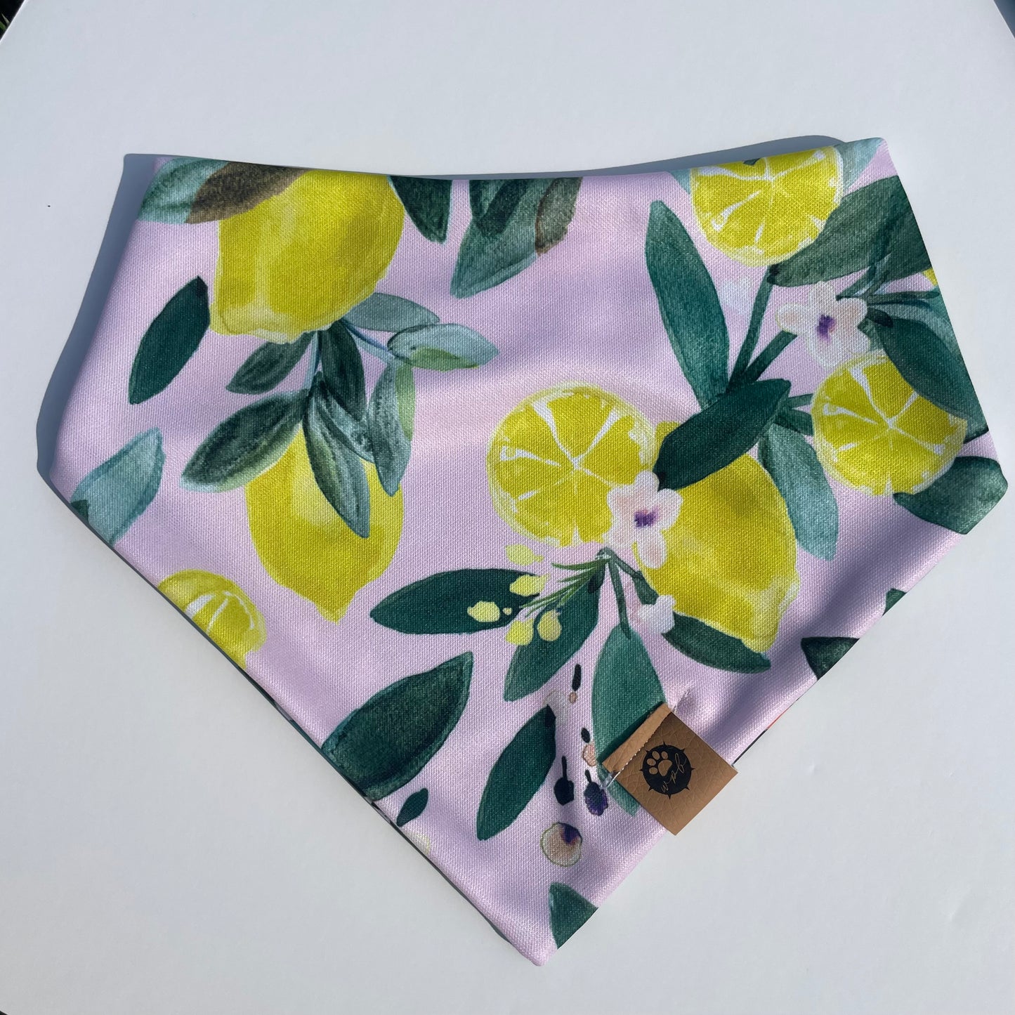 Main Squeeze Reversible Adventure Bandana