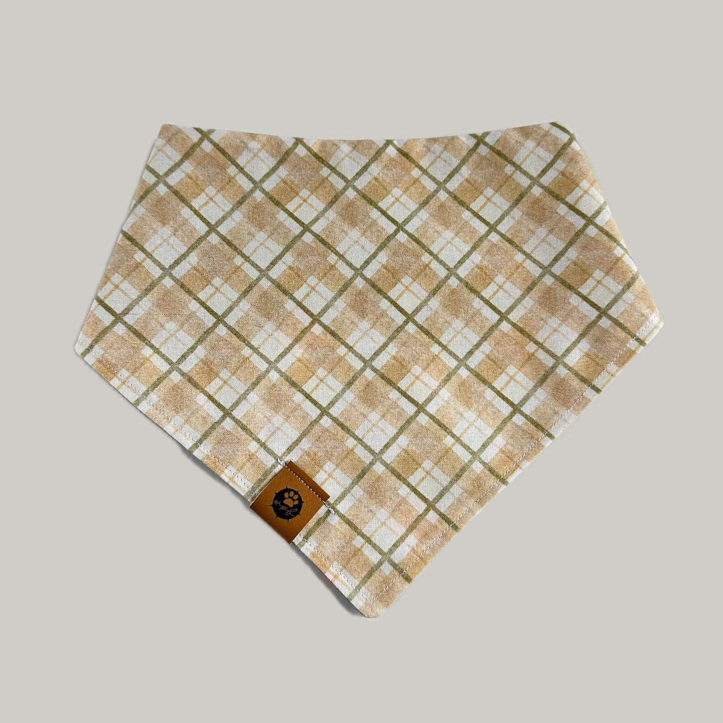 Little Mushrooms Reversible Bandana