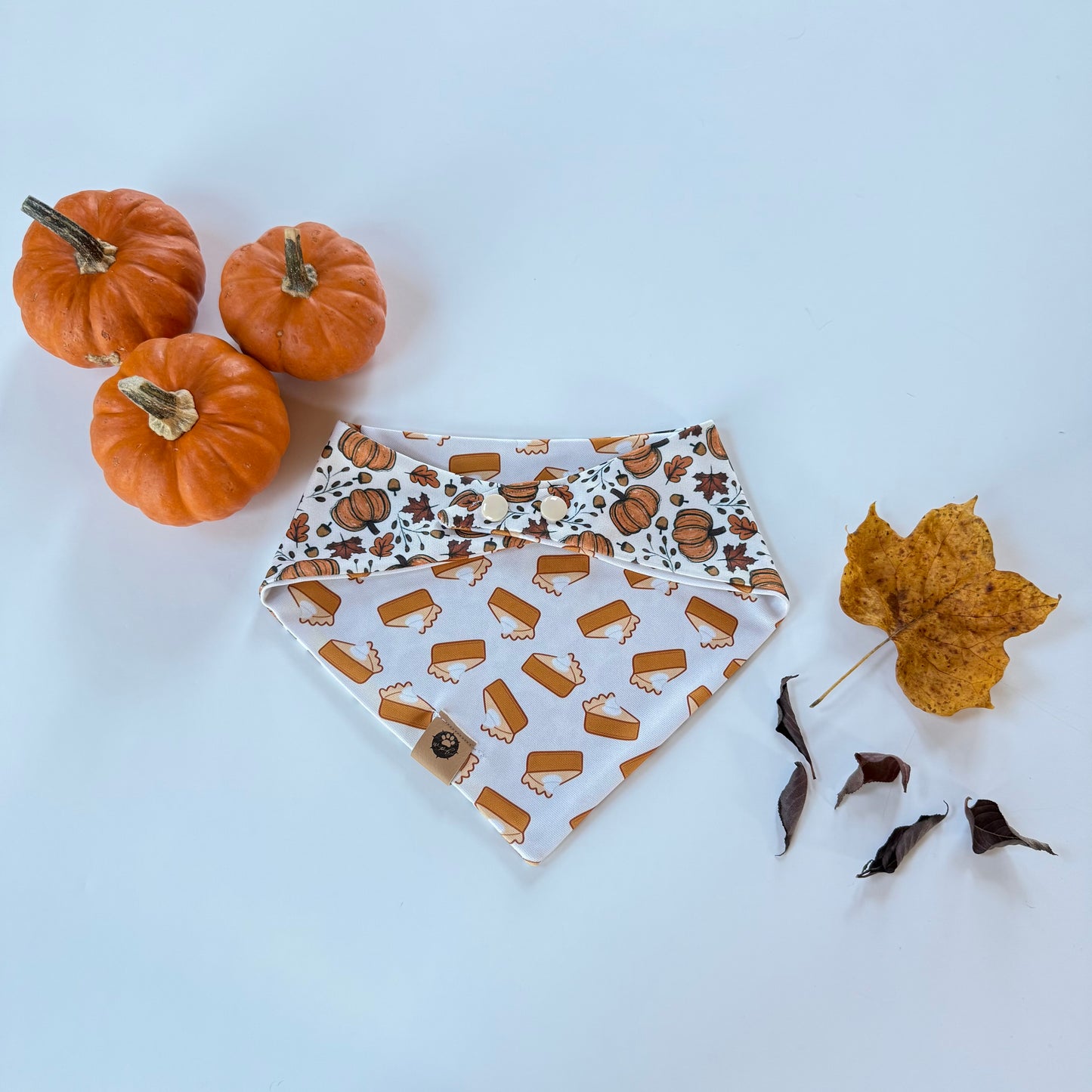 Pumpkin Pie Reversible Adventure Proof Bandana