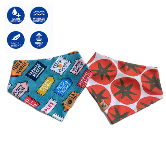 Farmers Market Reversible Adventure Bandana
