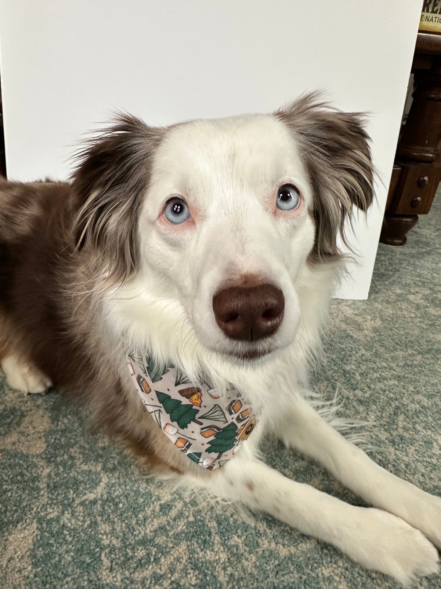 Campsite Reversible Bandana
