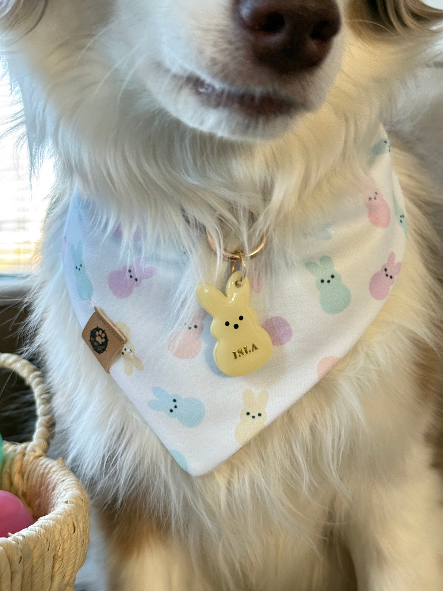 Peep Patrol Wander Proof Bandana