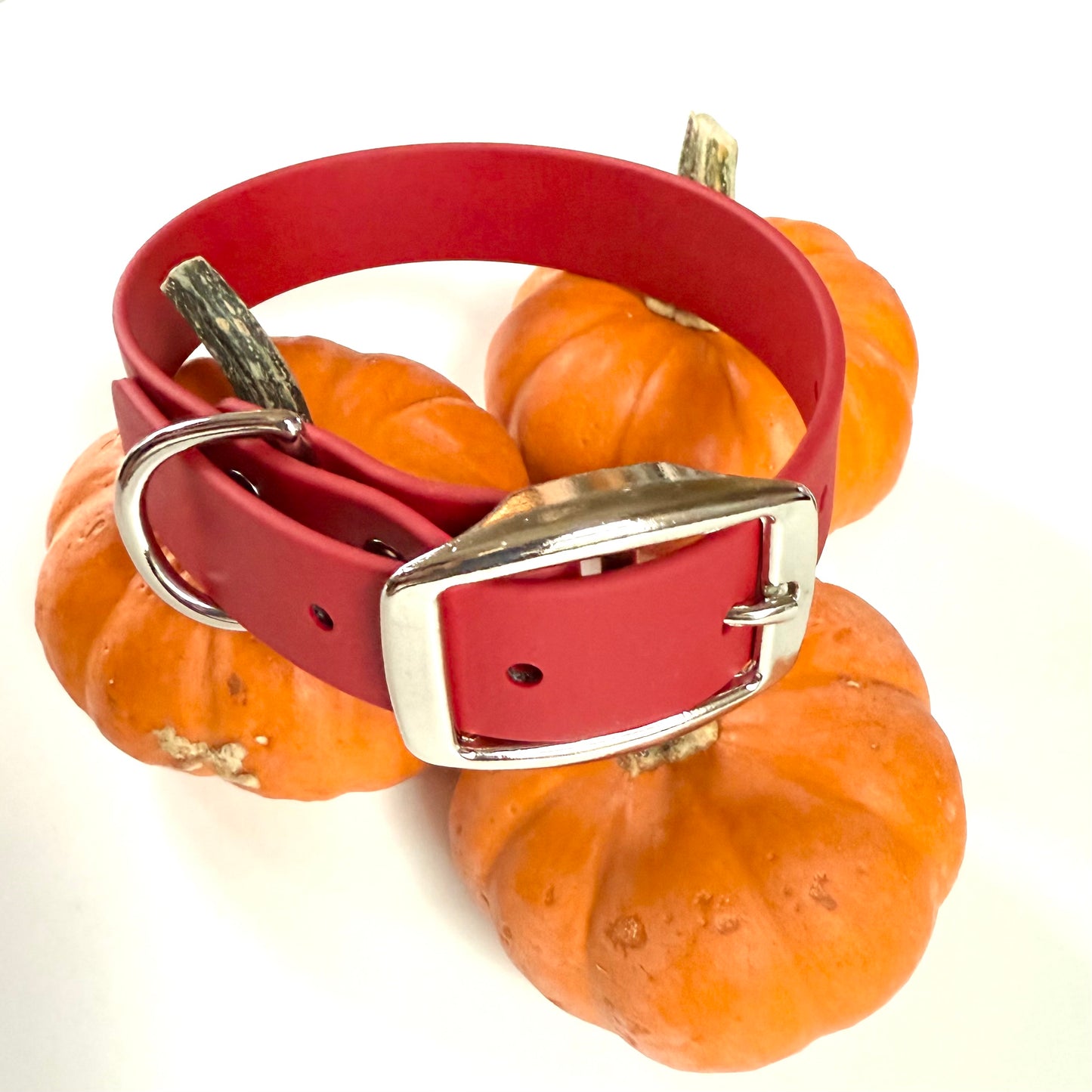 Fall Biothane Dog Collar