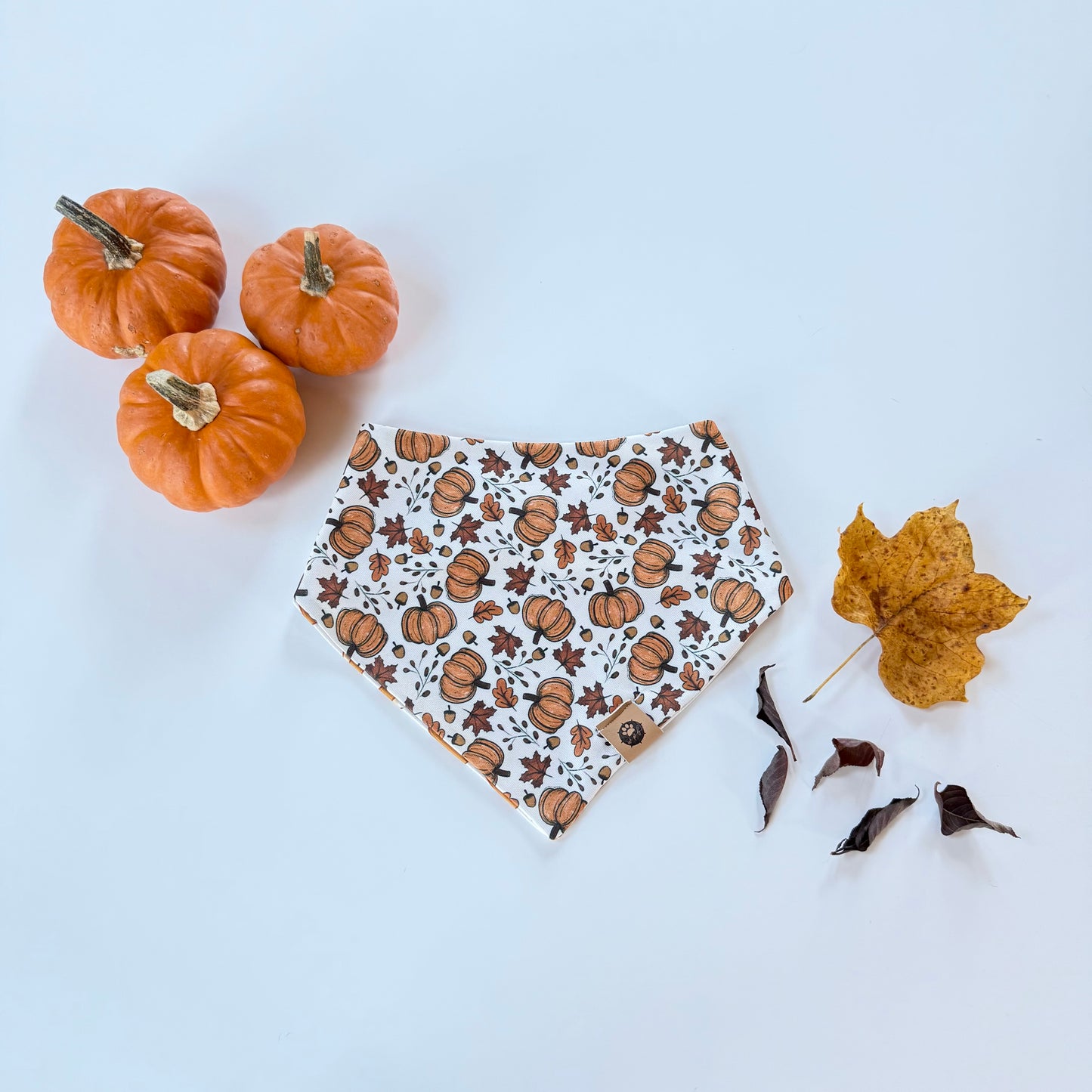 Pumpkin Pie Reversible Adventure Proof Bandana