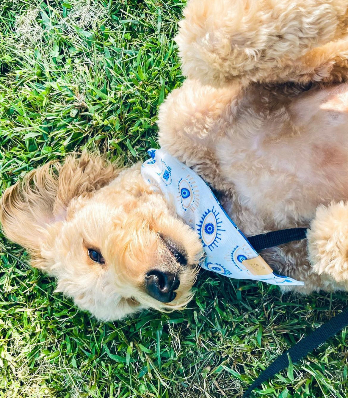 Darla Reversible Bandana