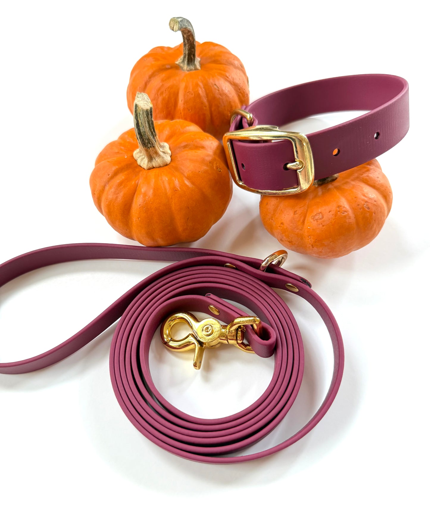 6 Foot Biothane Dog Leash