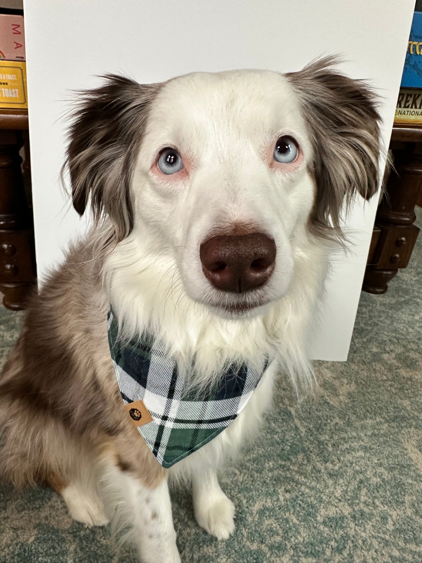 Alpine Spirit Flannel Reversible Bandana