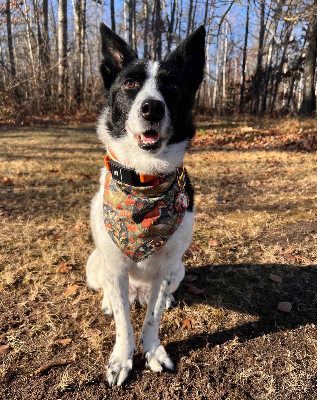 Lupita & Jovie Reversible Bandana