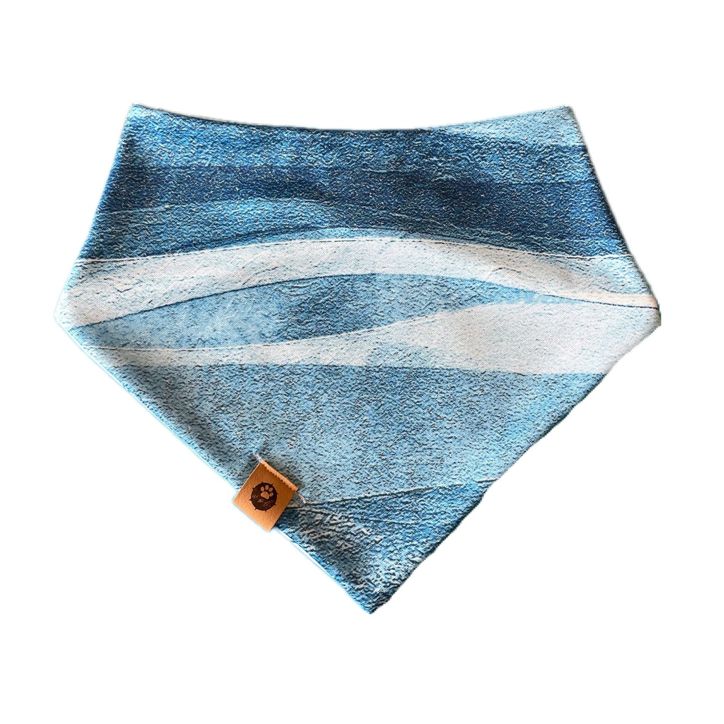 Oakley’s Salty Paws Reversible Adventure Bandana