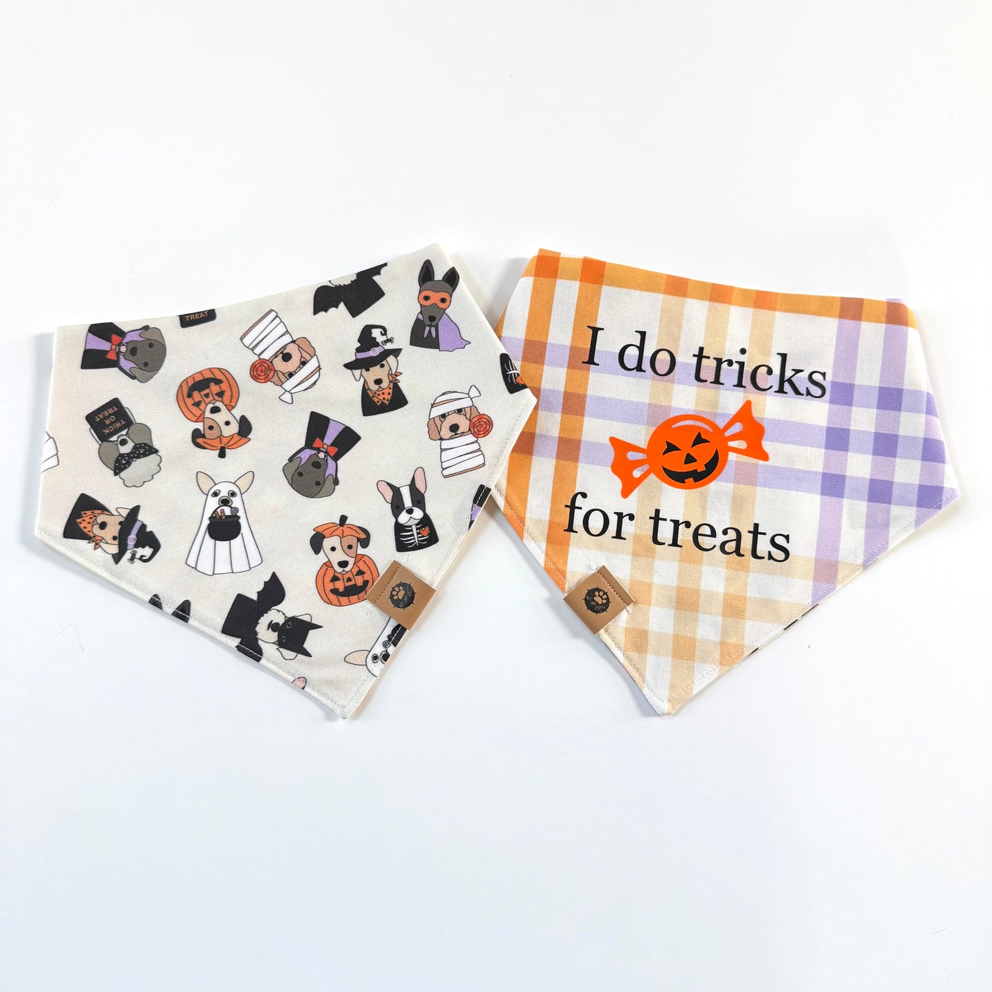 Tricks for Treats Reversible Custom Bandana