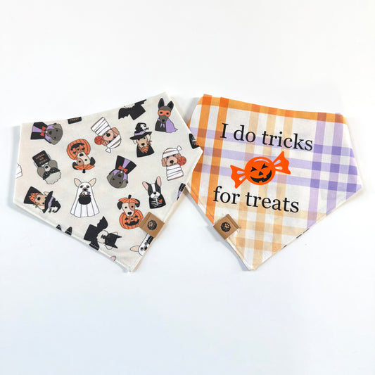 Tricks for Treats Reversible Custom Bandana