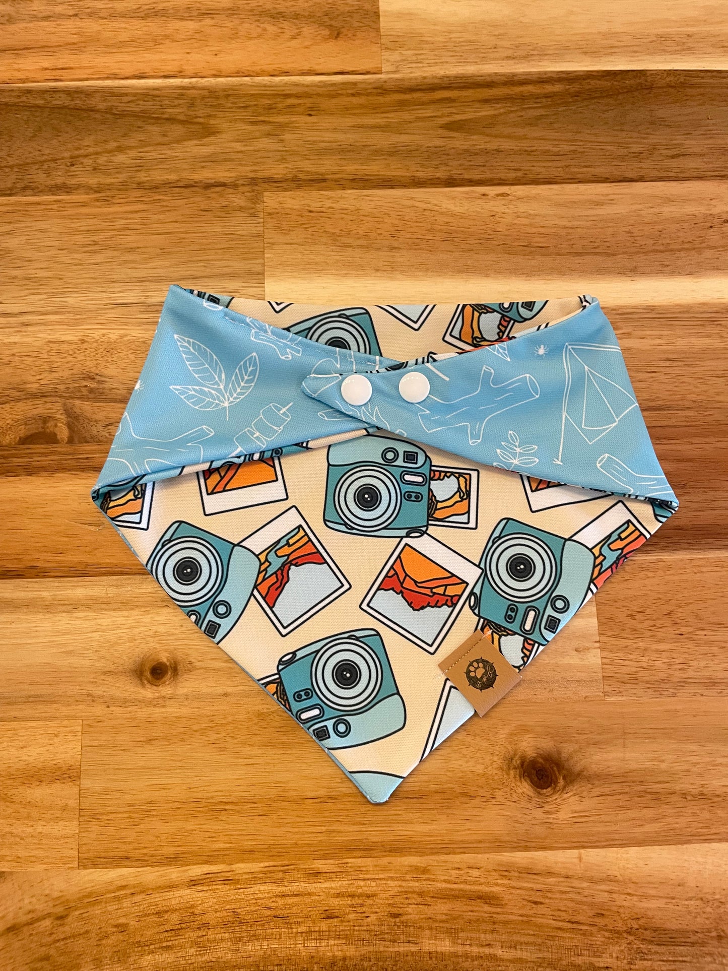 Summer Memories Reversible Adventure Bandana