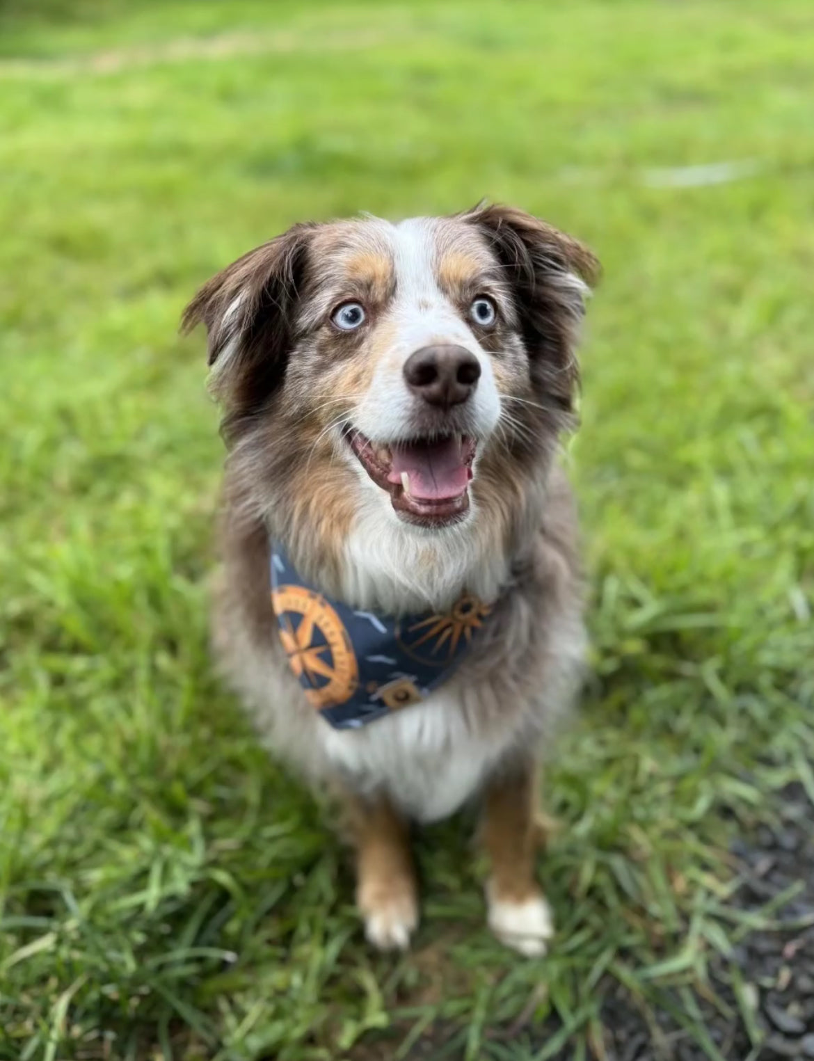 Navigator Reversible Bandana