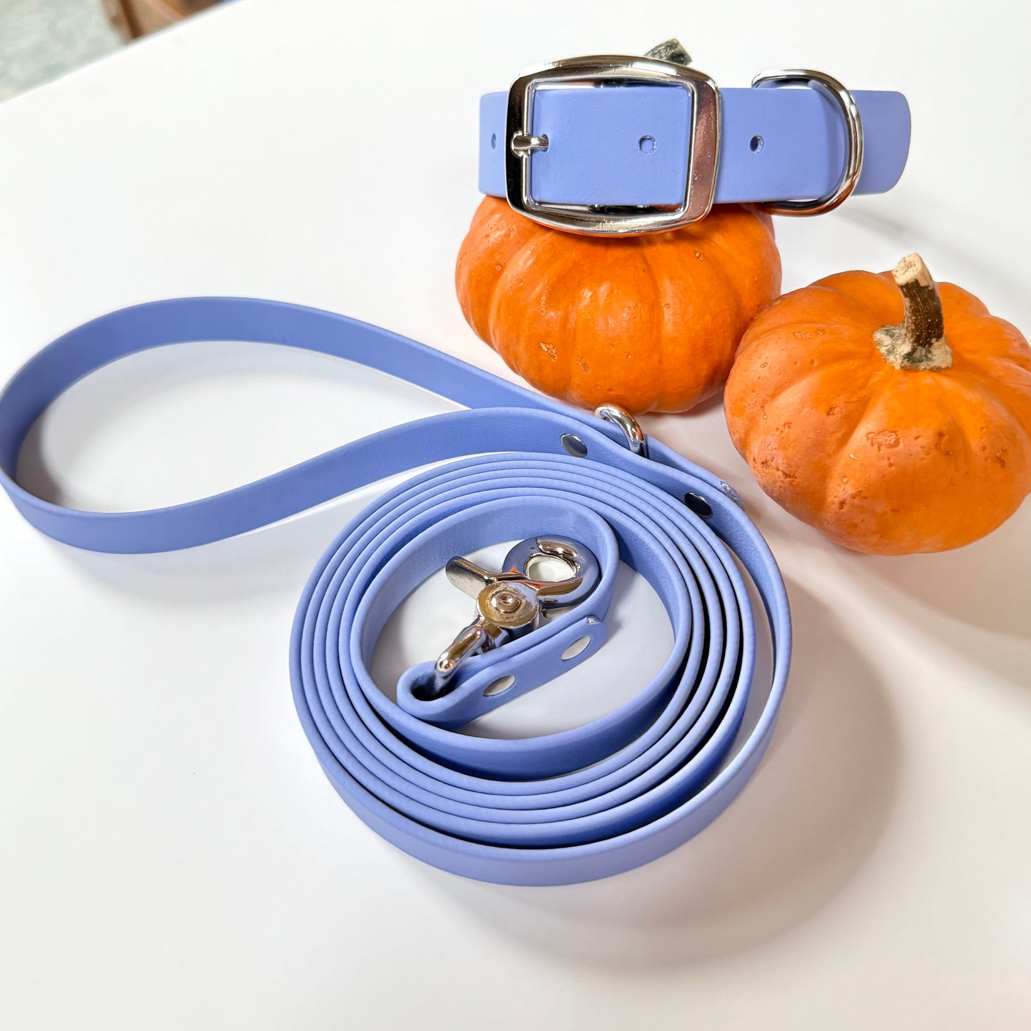 6 Foot Biothane Dog Leash