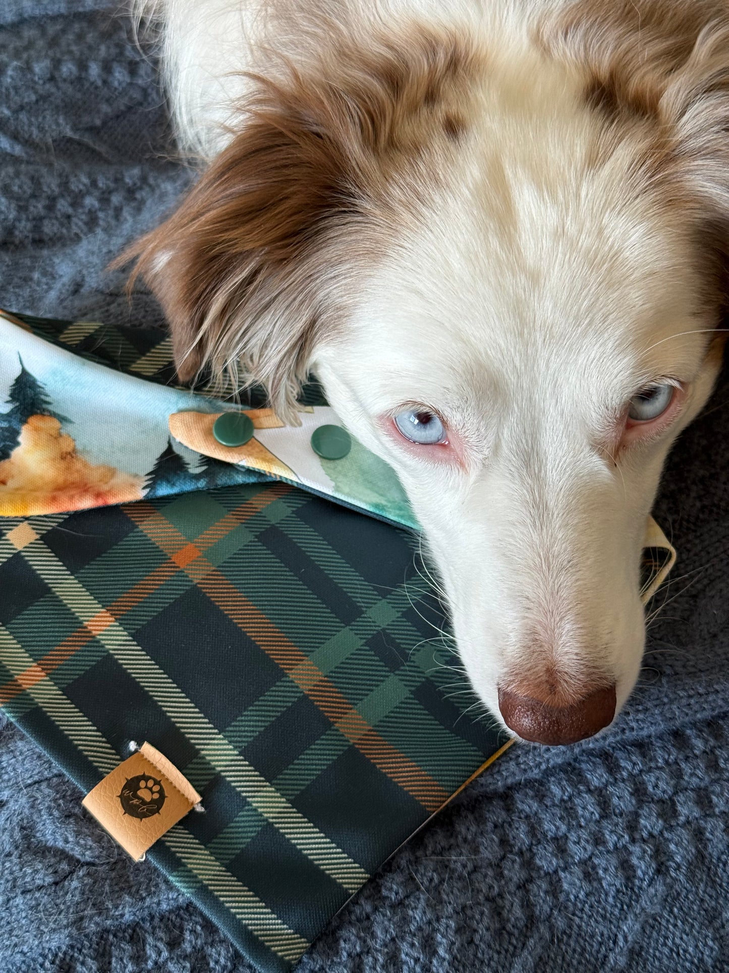 Fall Peaks Reversible Adventure Proof Bandana