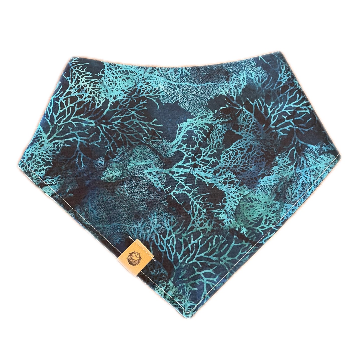 Reef