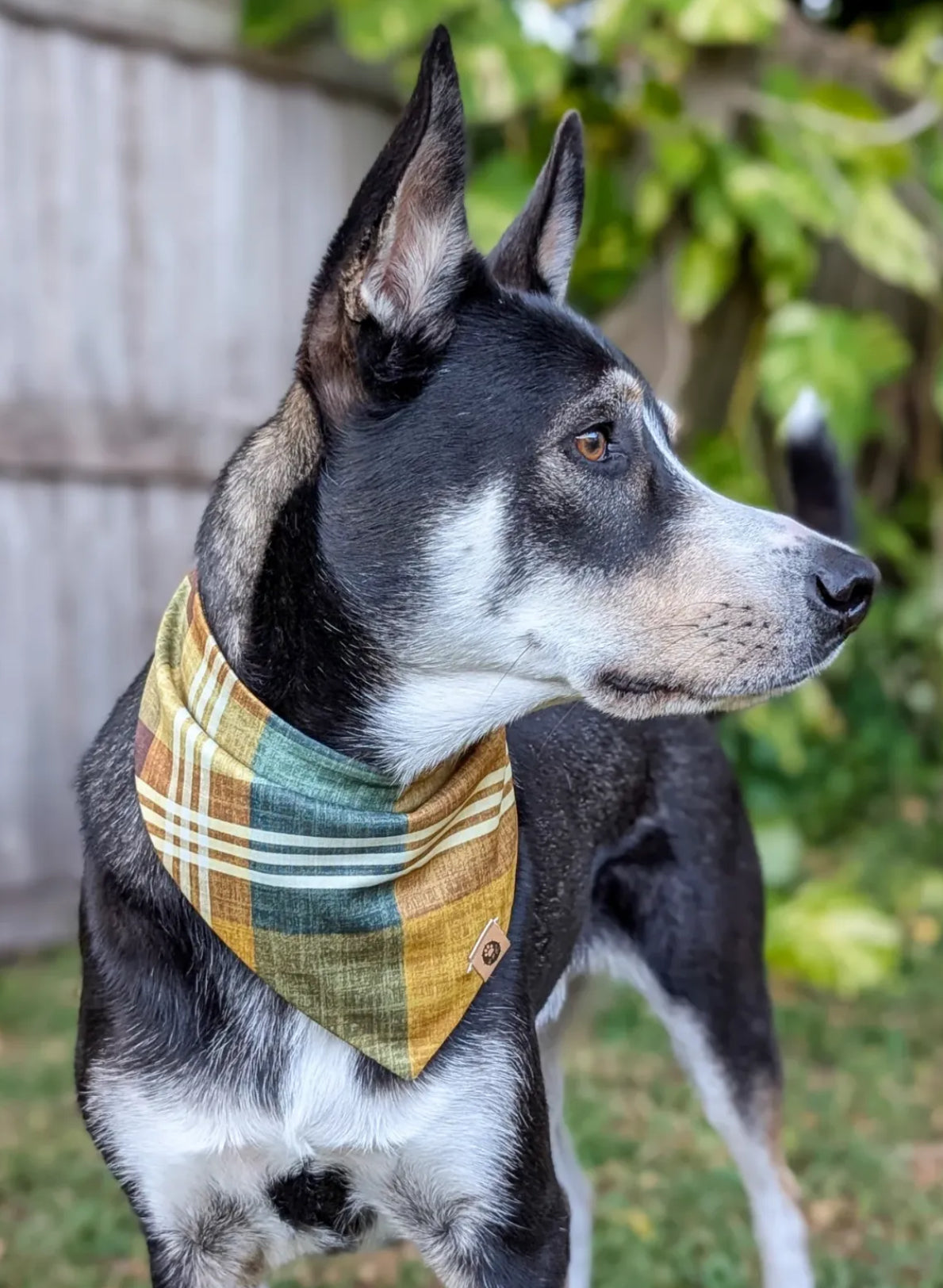 Tartan and Tweed Reversible Wander Proof Style Bandana