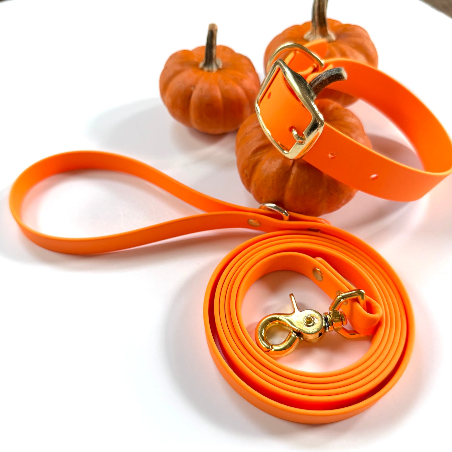 6 Foot Biothane Dog Leash