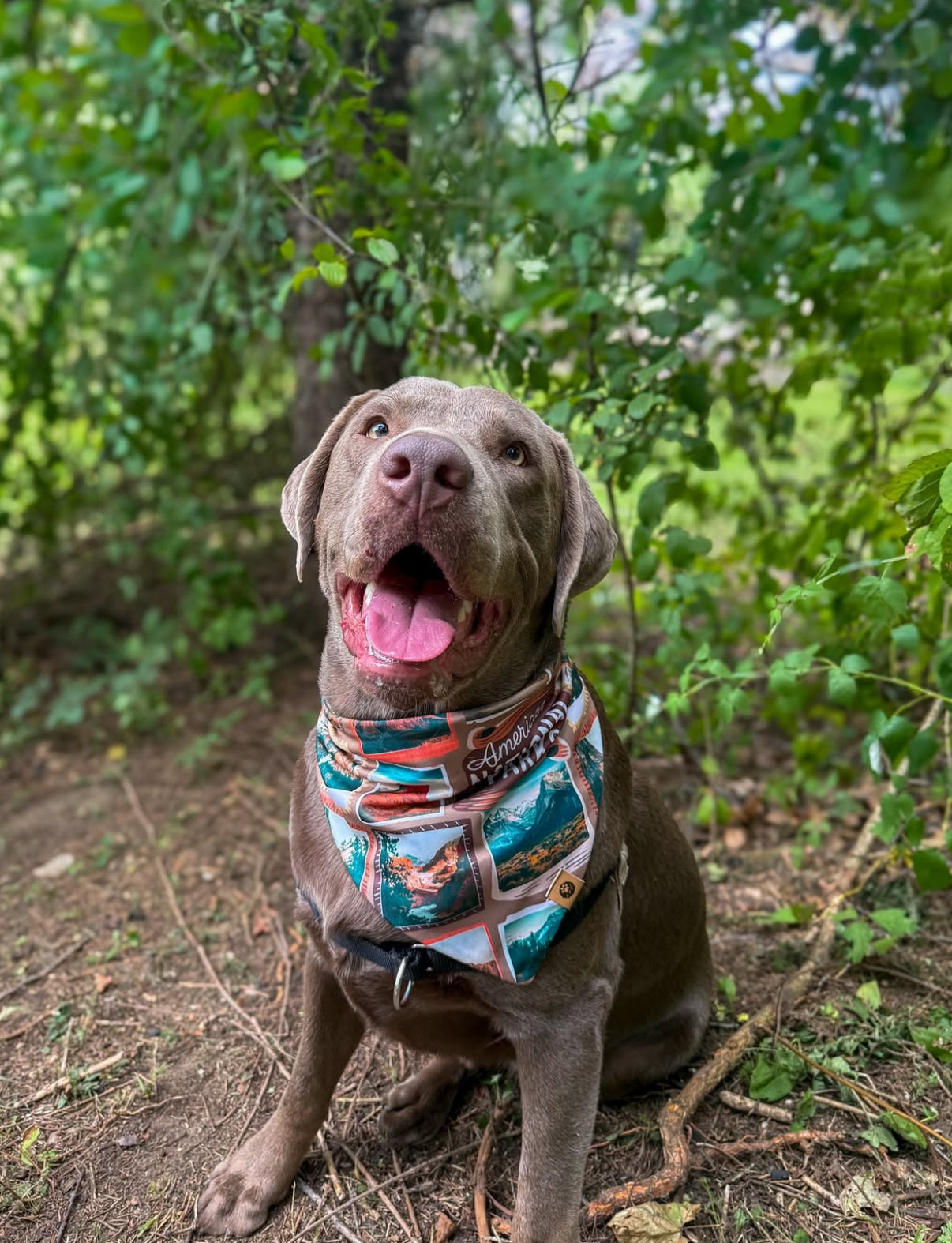 Peaks & Patches Adventure Proof Bandana