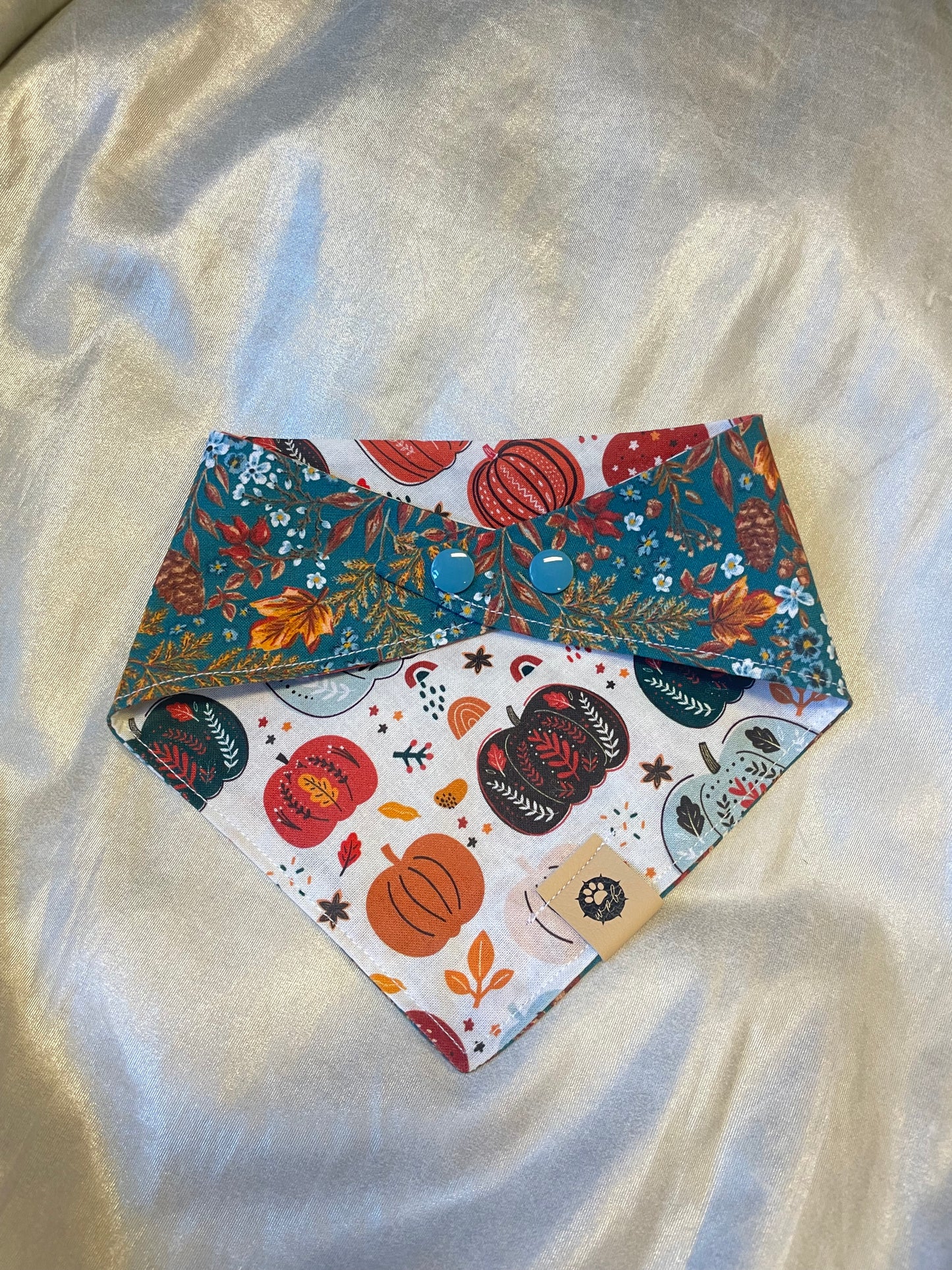 Pumpkin Spice Reversible Bandana