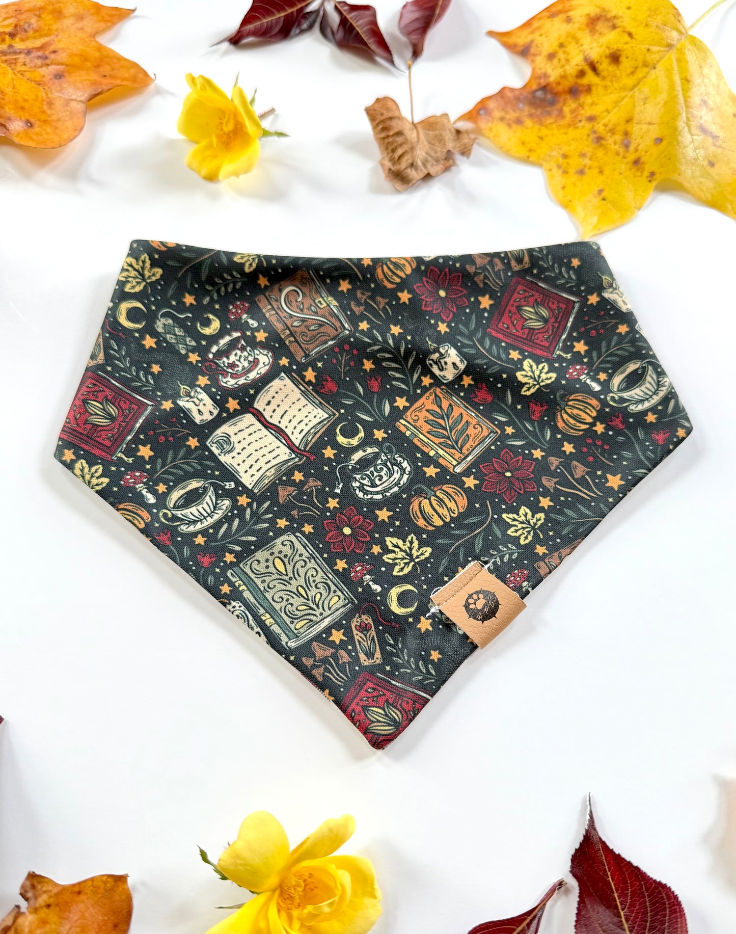 Bookish Autumn Reversible Adventure Proof Bandana