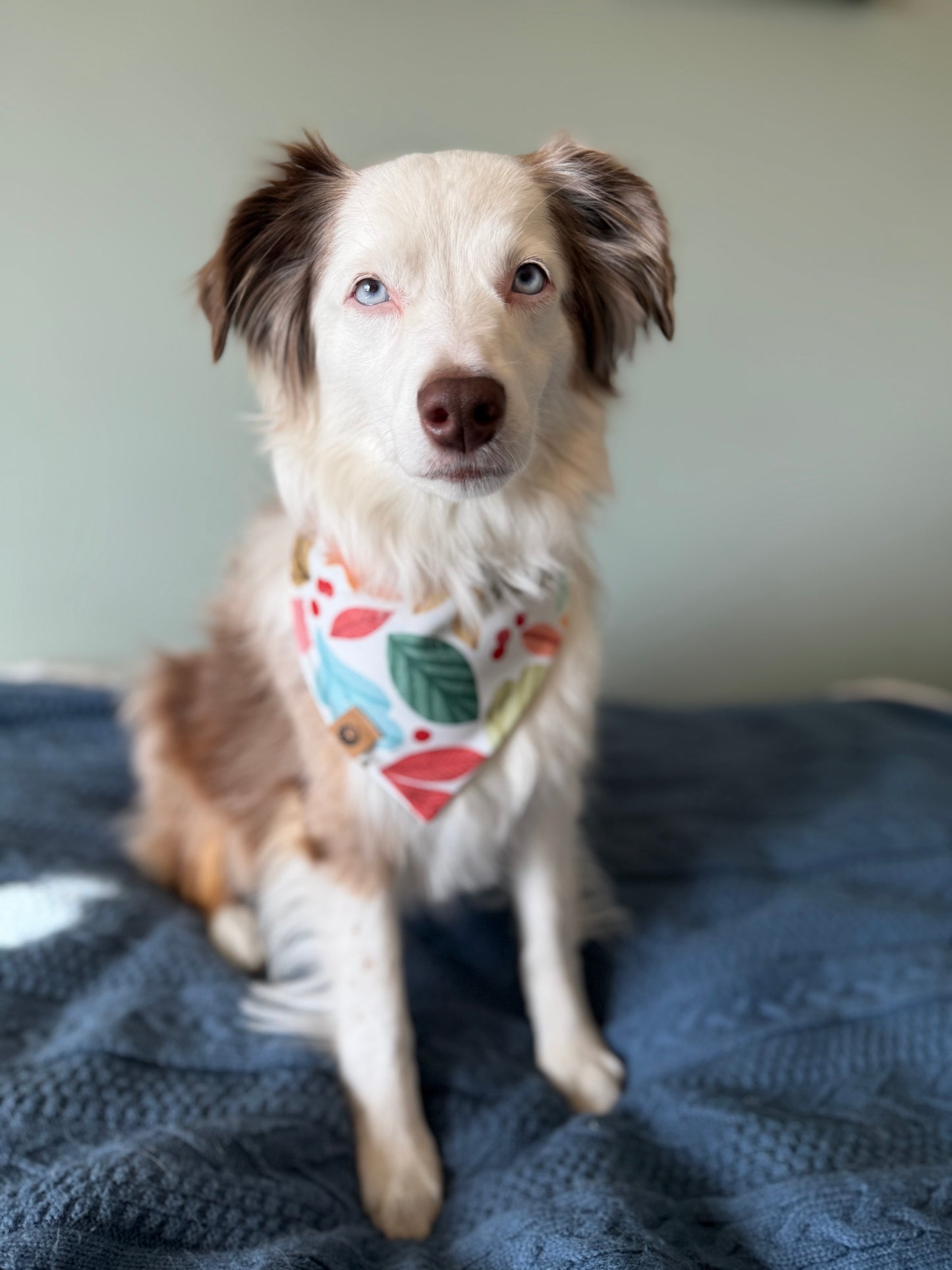 Amber Harvest Reversible Adventure Proof Bandana