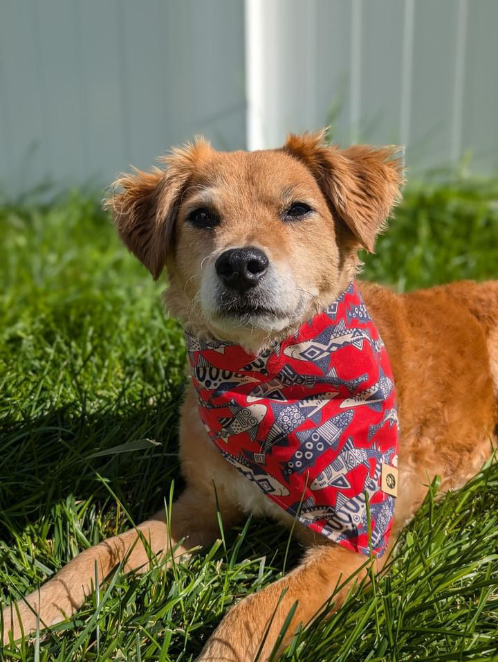 Surf & Snap Reversible Bandana