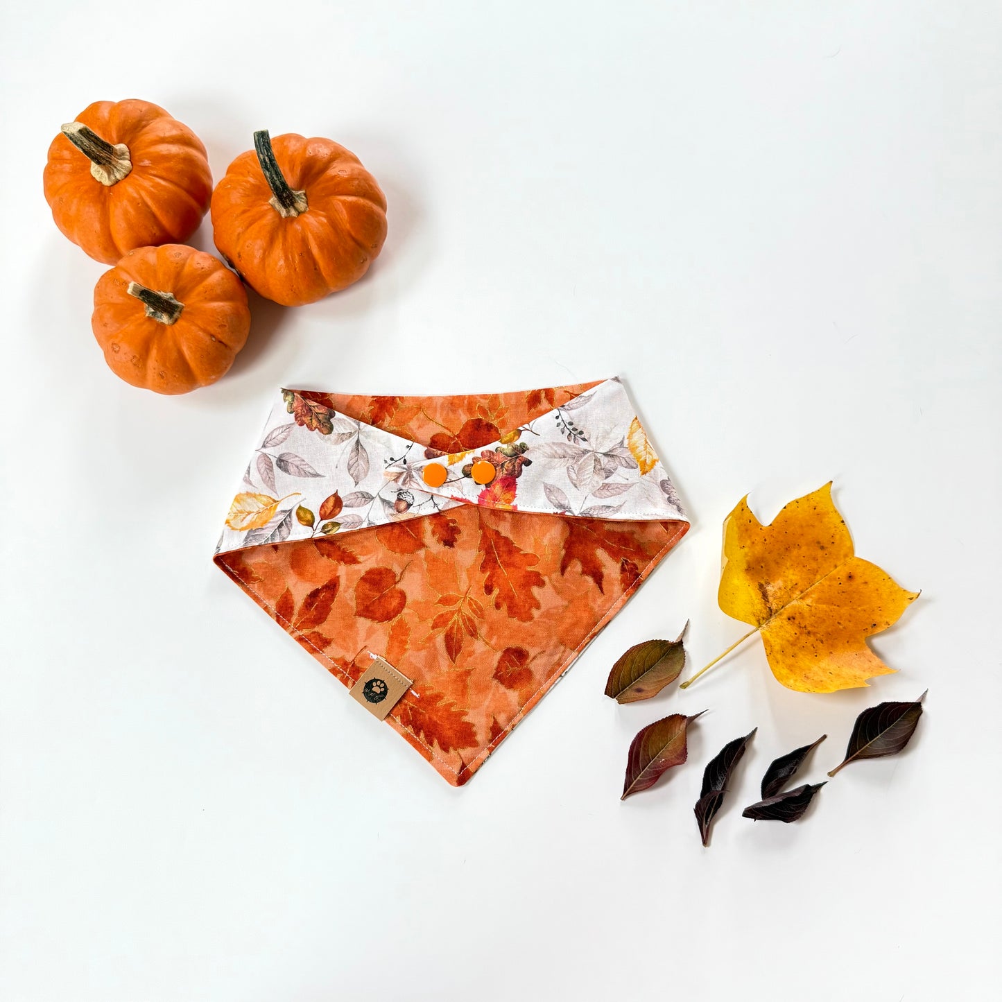 Ember Trail Reversible Bandana