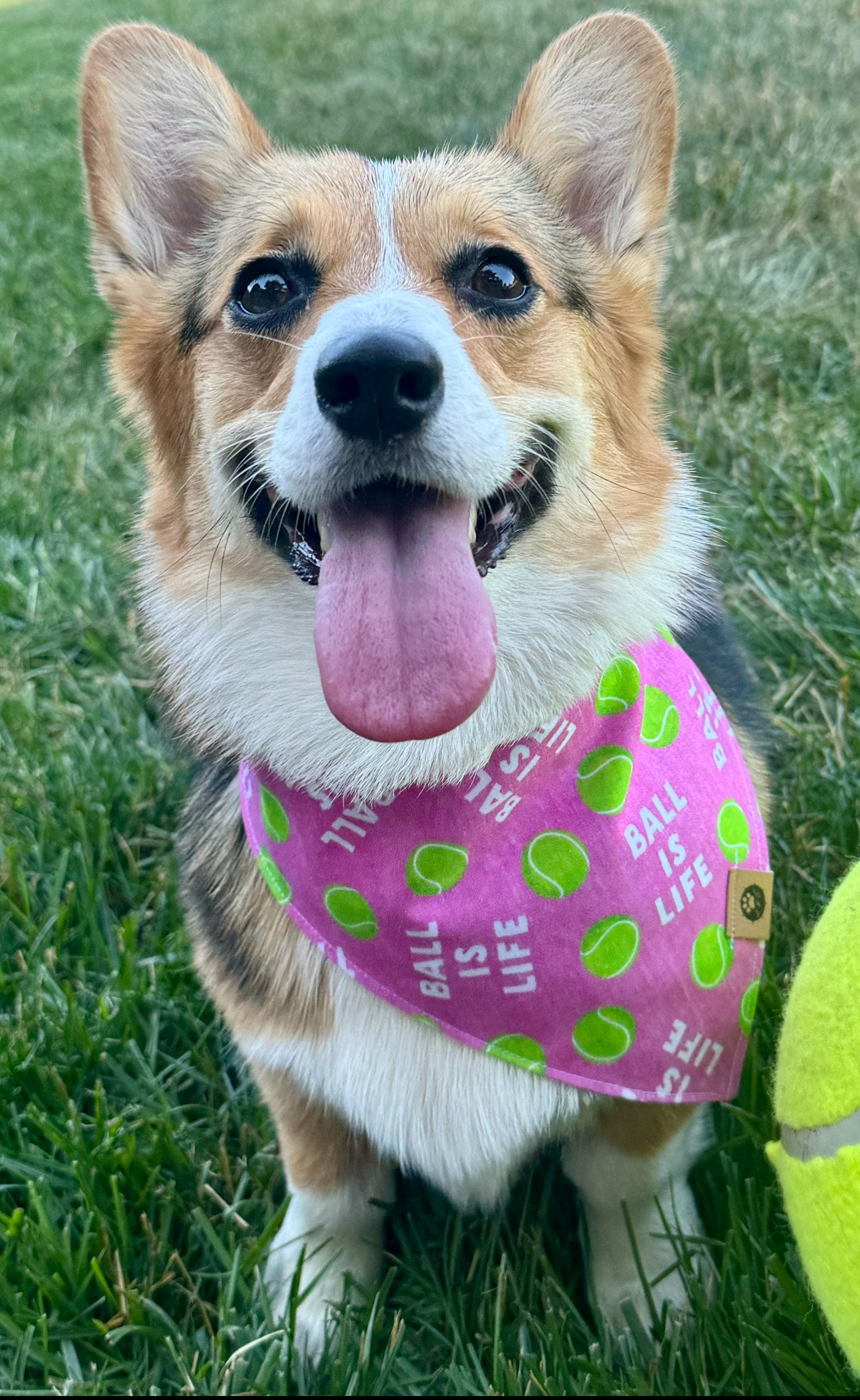 Ball is Life Pink