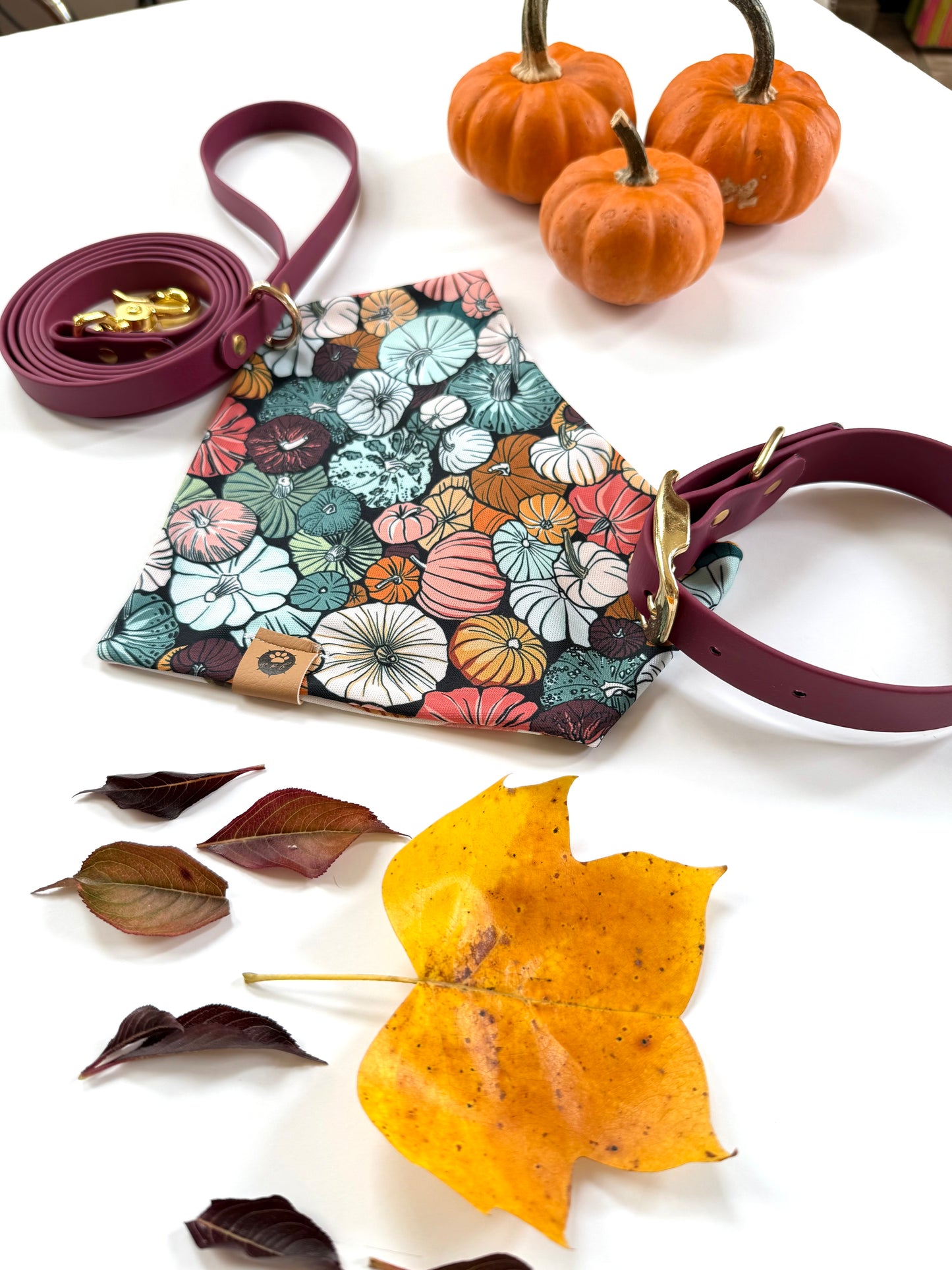 Amber Harvest Reversible Adventure Proof Bandana