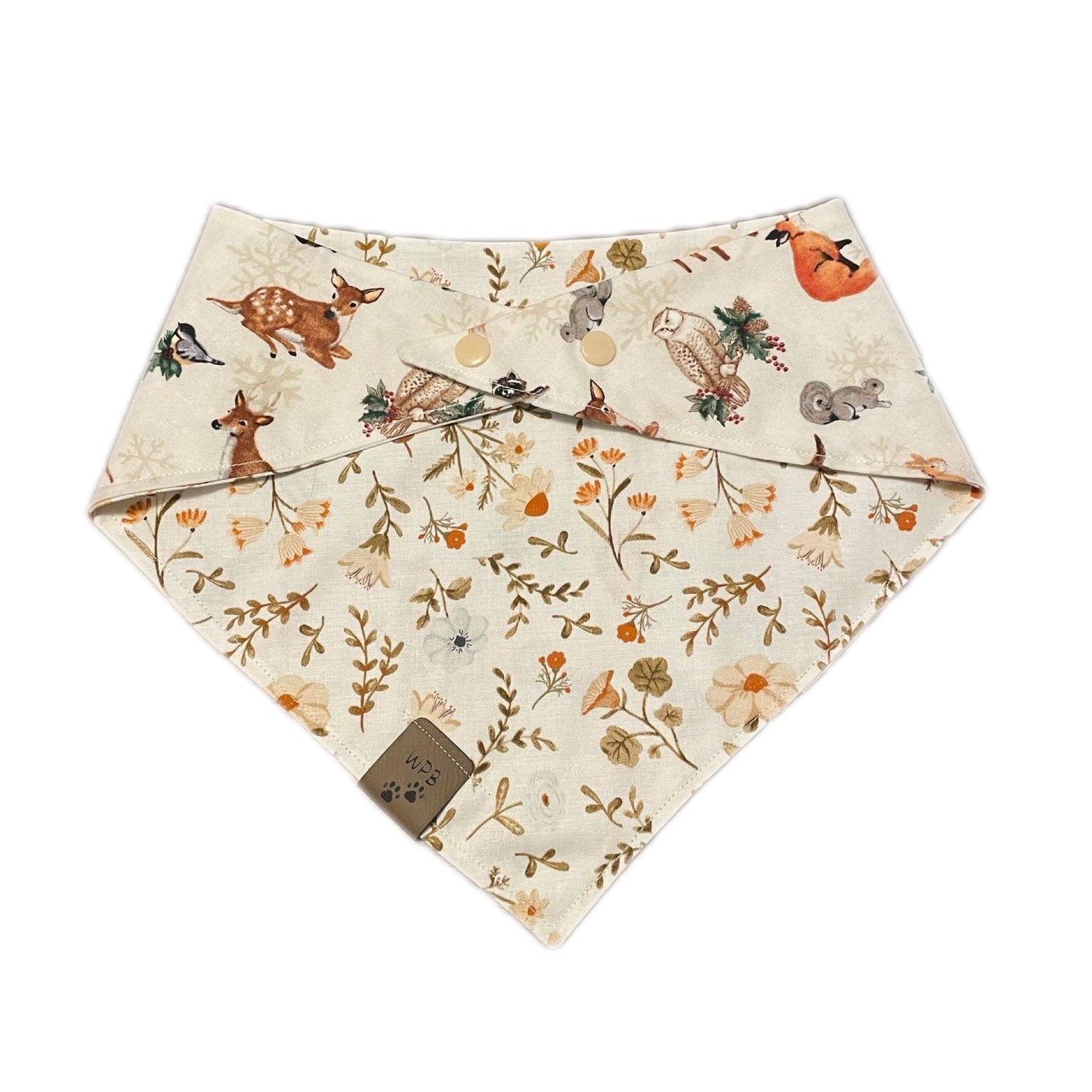 Aurora’s Walk in Nature Reversible Bandana