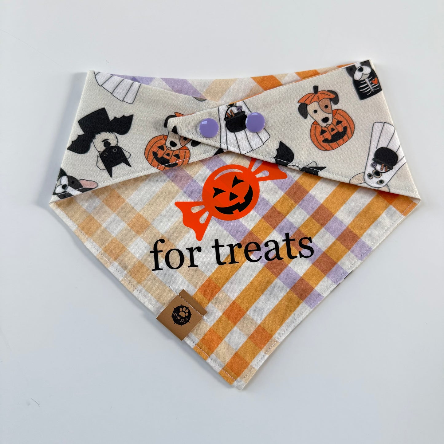 Tricks for Treats Reversible Custom Bandana