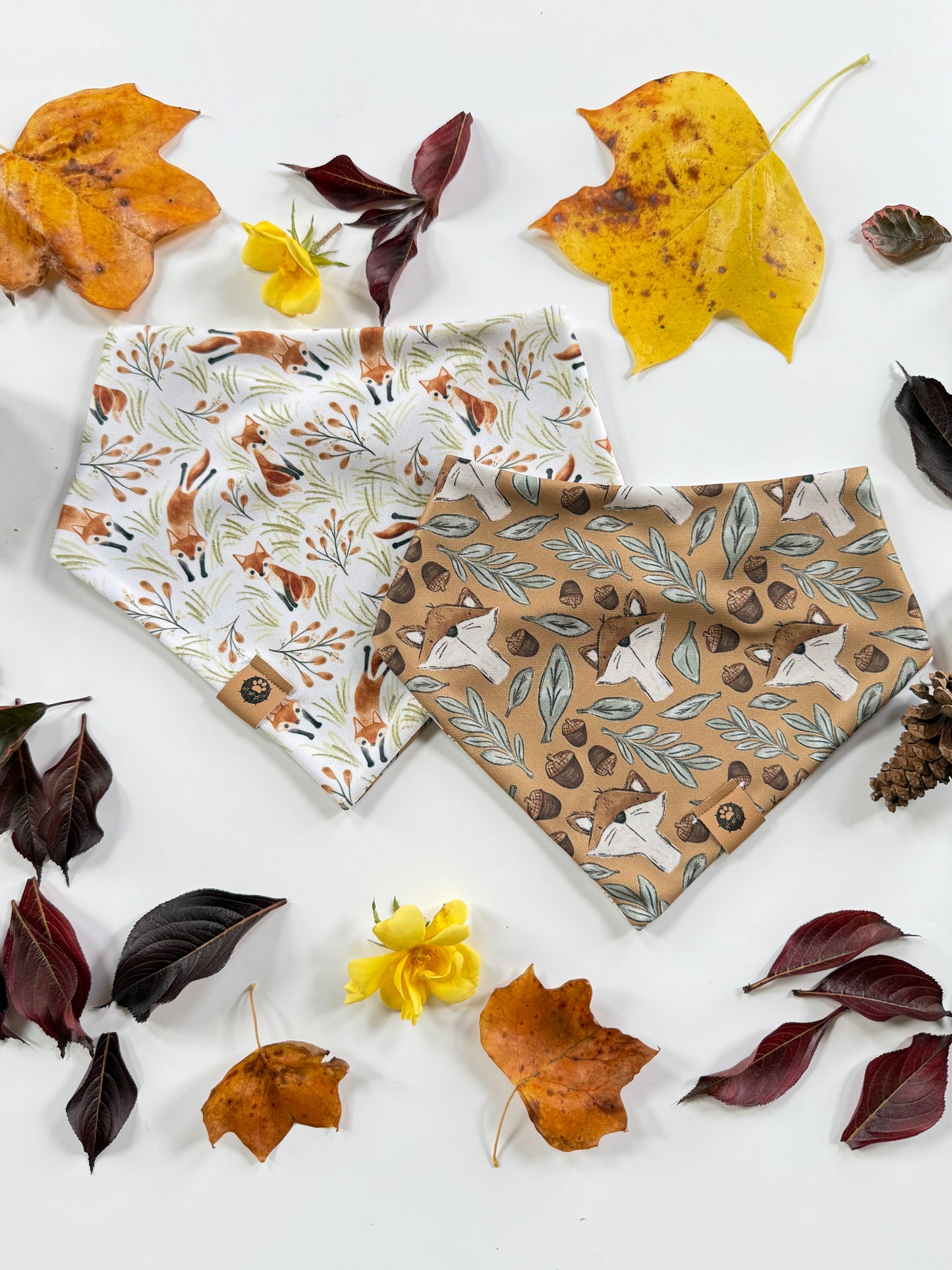 Foxy Friends Reversible Adventure Proof Bandana
