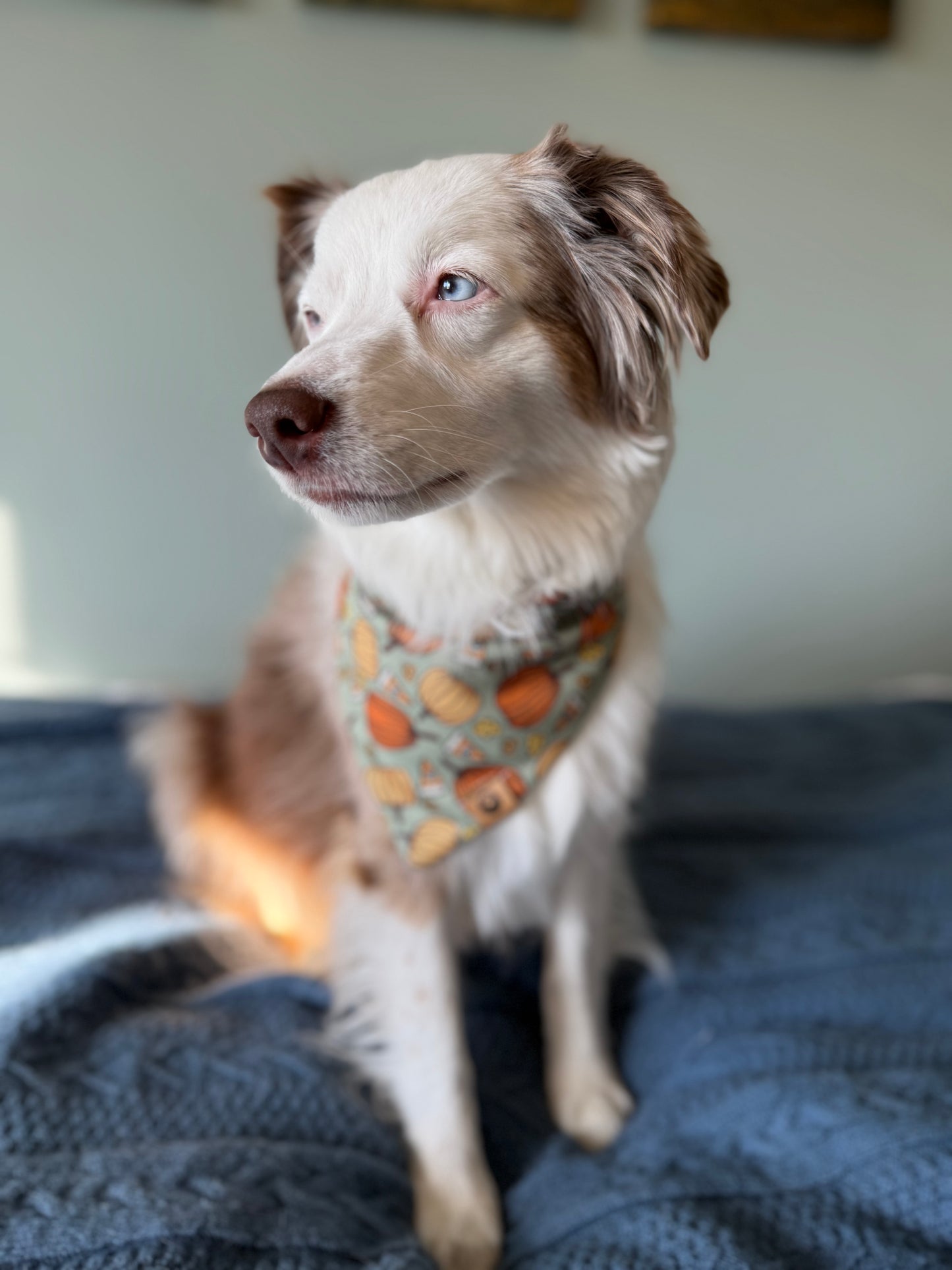 Thanksgiving Day Reversible Adventure Proof Bandana