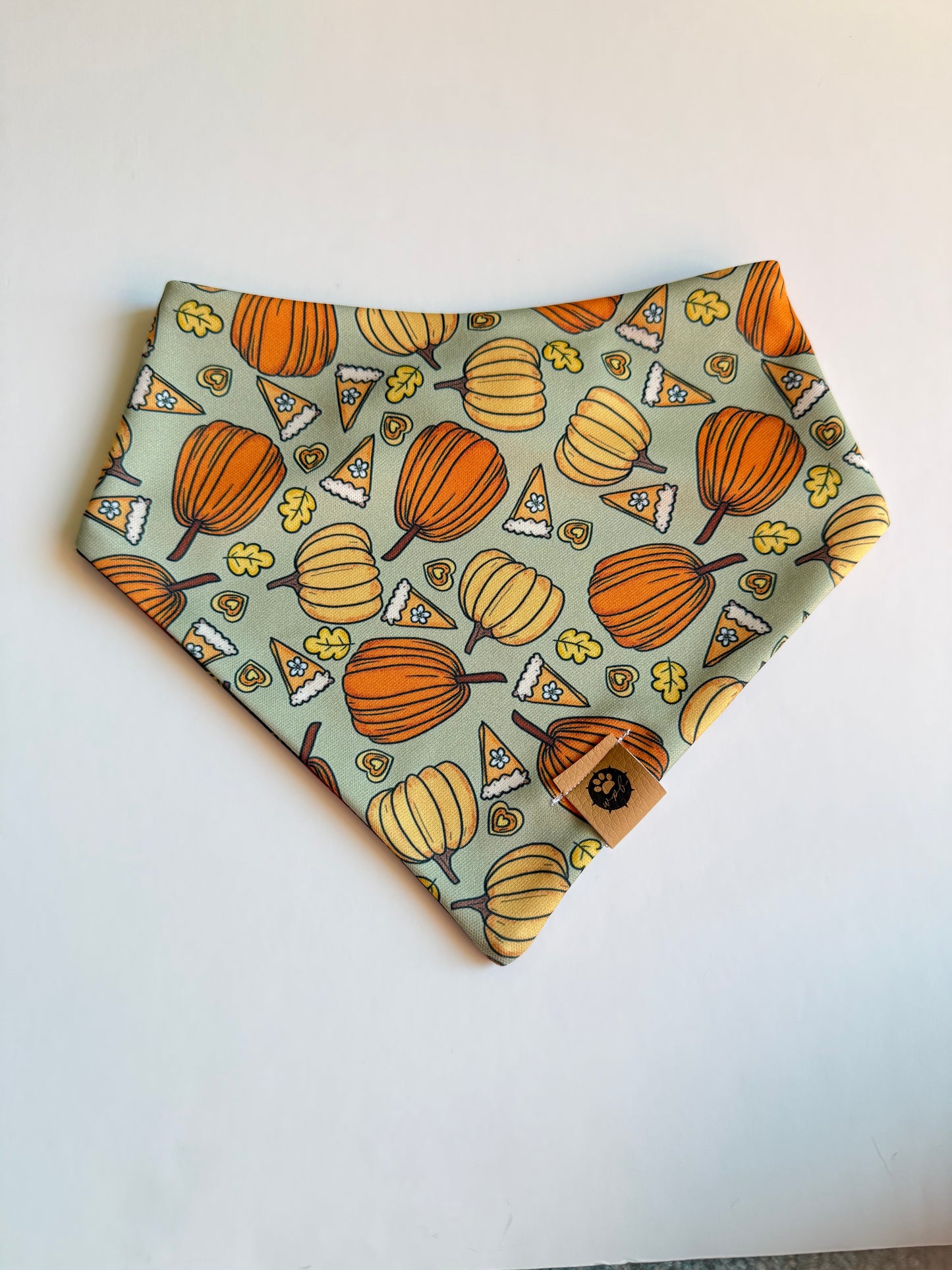 Thanksgiving Day Reversible Adventure Proof Bandana