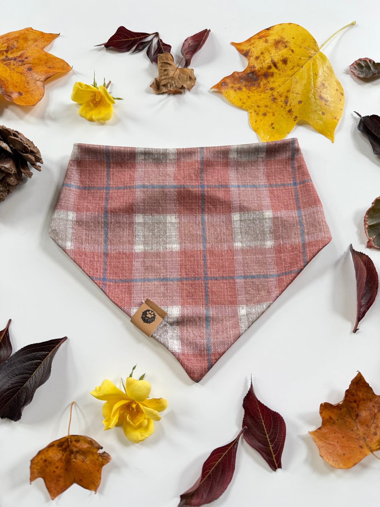 Cinnamon Spice Reversible Adventure Proof Bandana