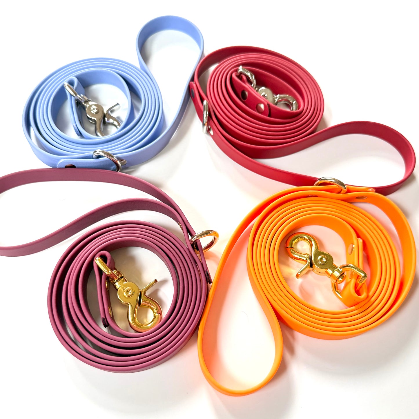 6 Foot Biothane Dog Leash