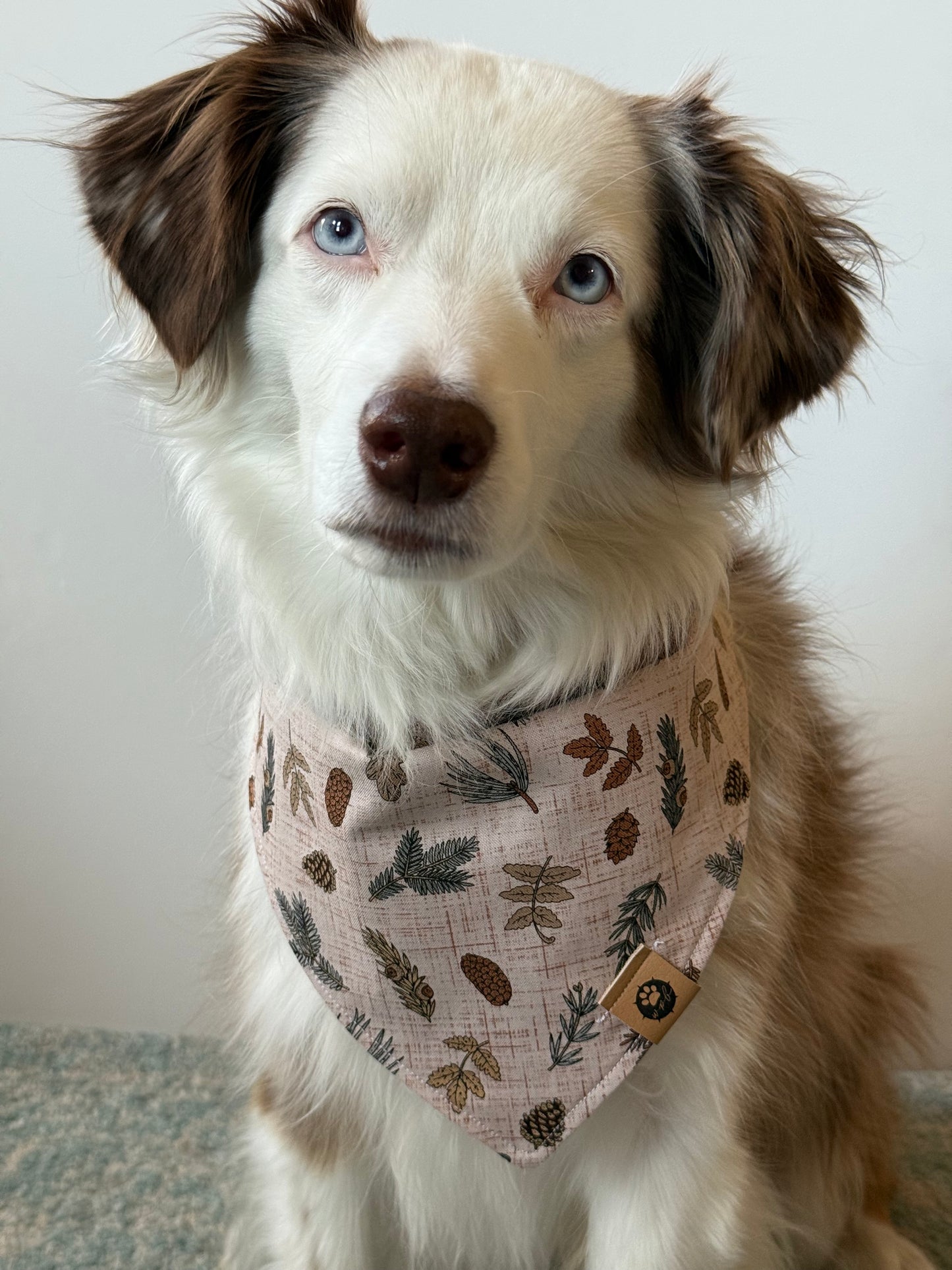 Forest Bound Reversible Bandana