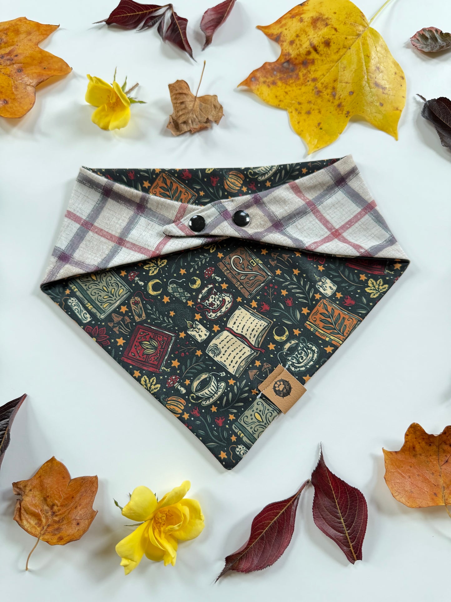 Bookish Autumn Reversible Adventure Proof Bandana