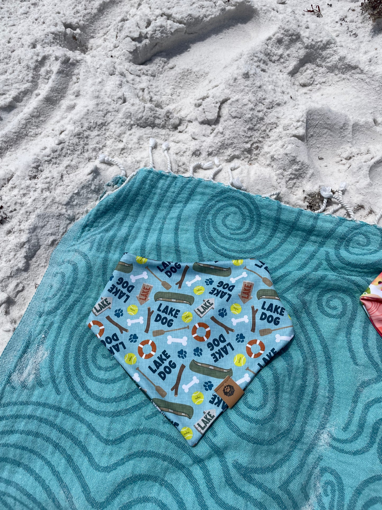 Lake Dog Reversible Adventure Bandana