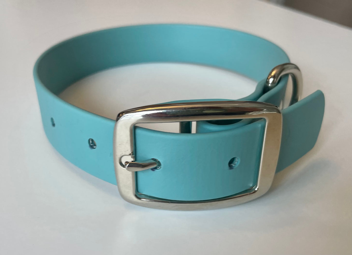 Teal Biothane Dog Collar