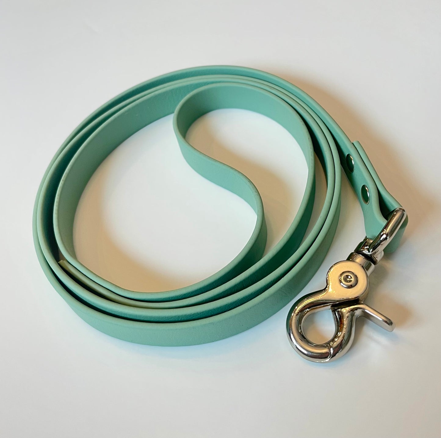 Sage Green Biothane Leash