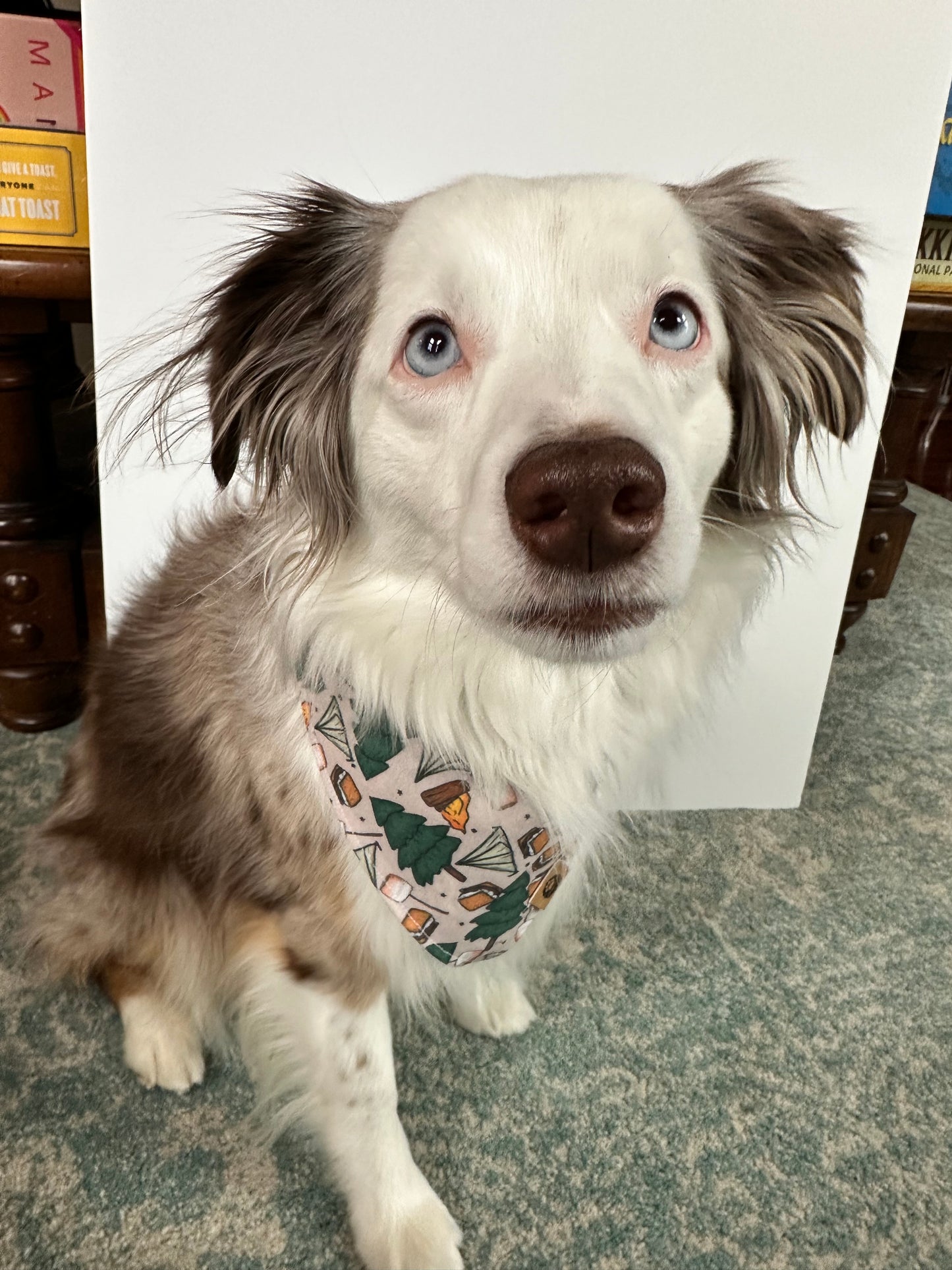 Campsite Reversible Bandana